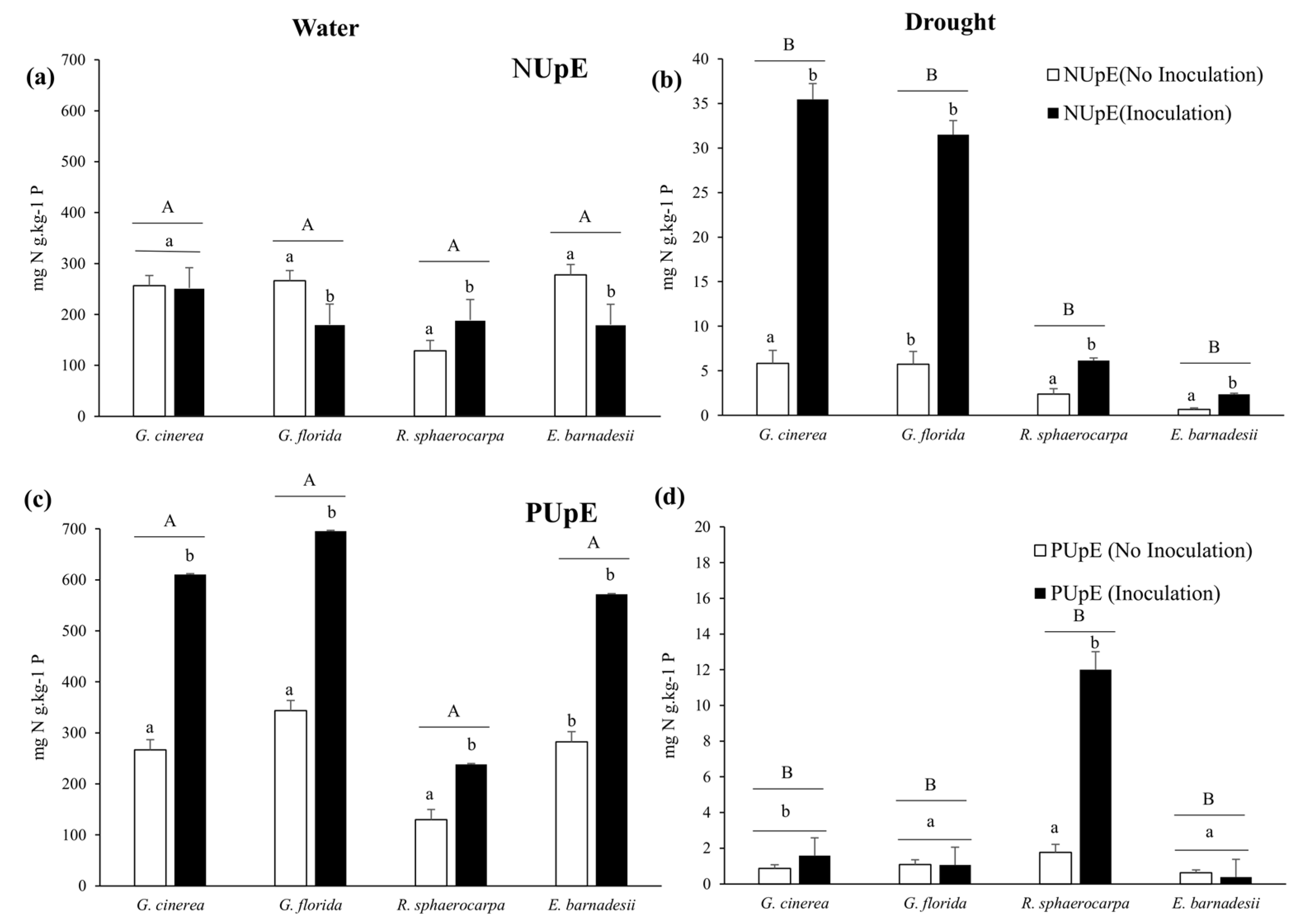 Plants Free Full Text Phosphorus And Nitrogen Modulate Plant Performance In Shrubby Legumes From The Iberian Peninsula Html