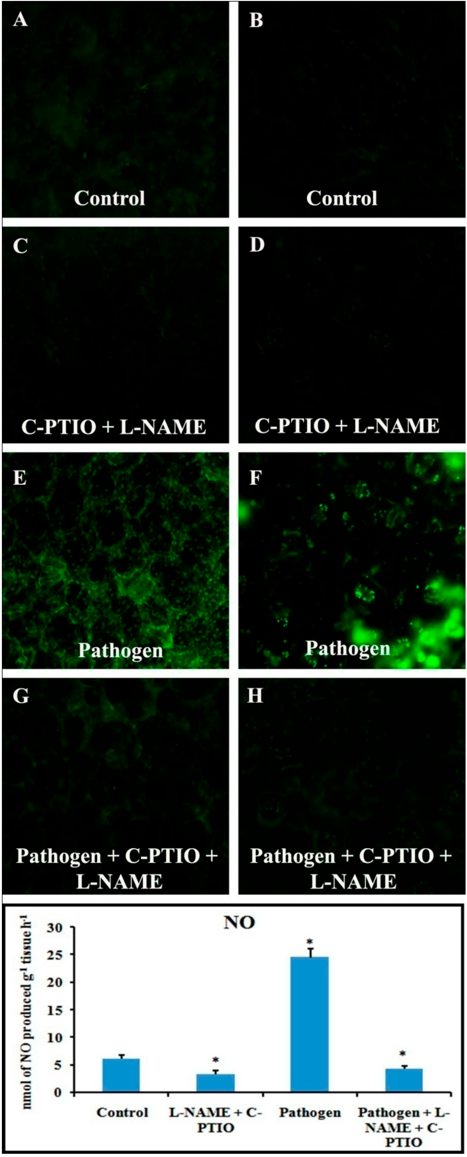 Plants 08 00345 g013 Plants 08 00345 g013