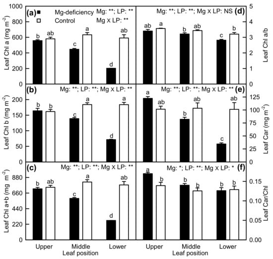 Plants Free Full Text Magnesium Deficiency Effects On Pigments Photosynthesis And Photosynthetic Electron Transport Of Leaves And Nutrients Of Leaf Blades And Veins In Citrus Sinensis Seedlings Html