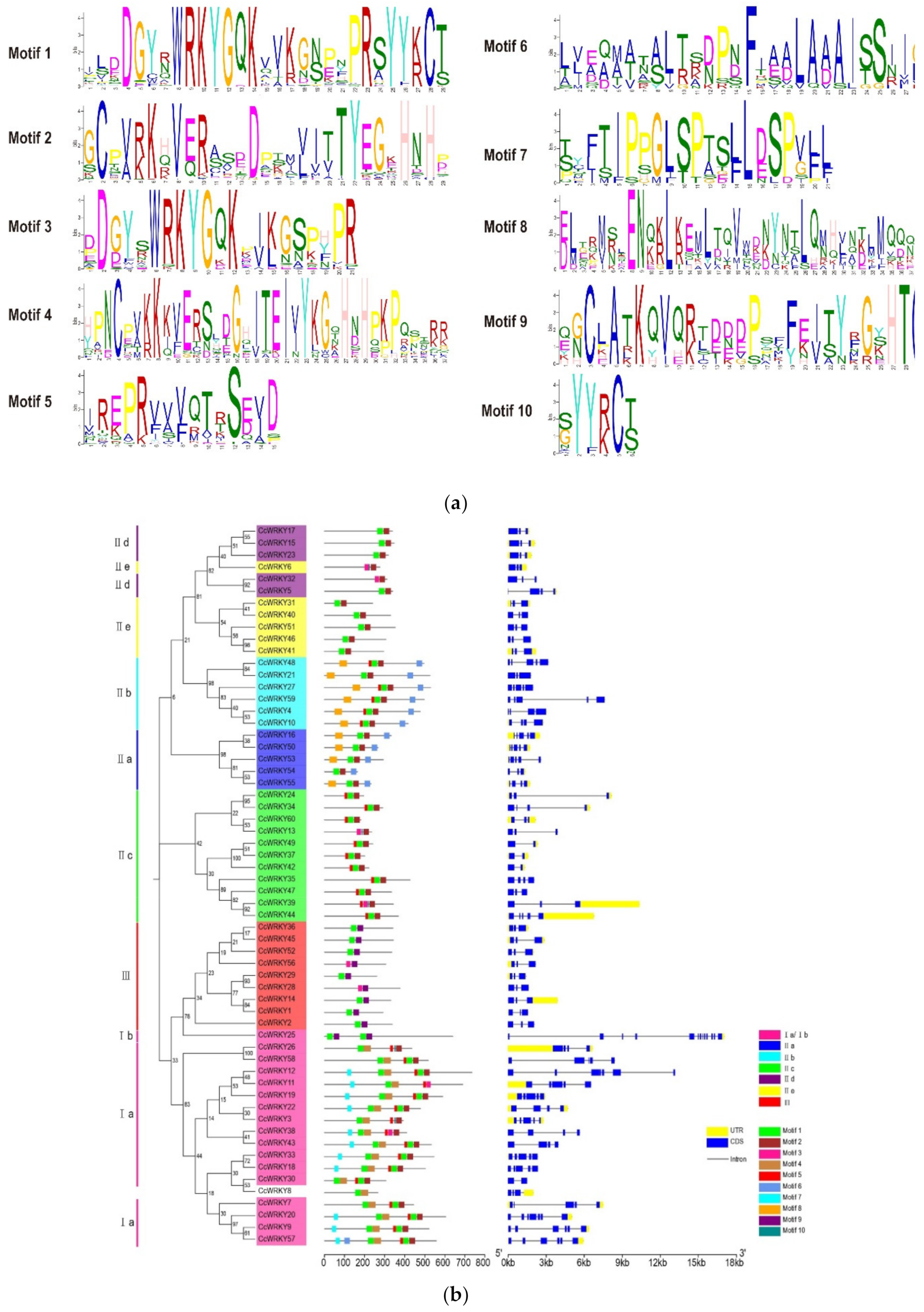 Plants 08 00393 g003