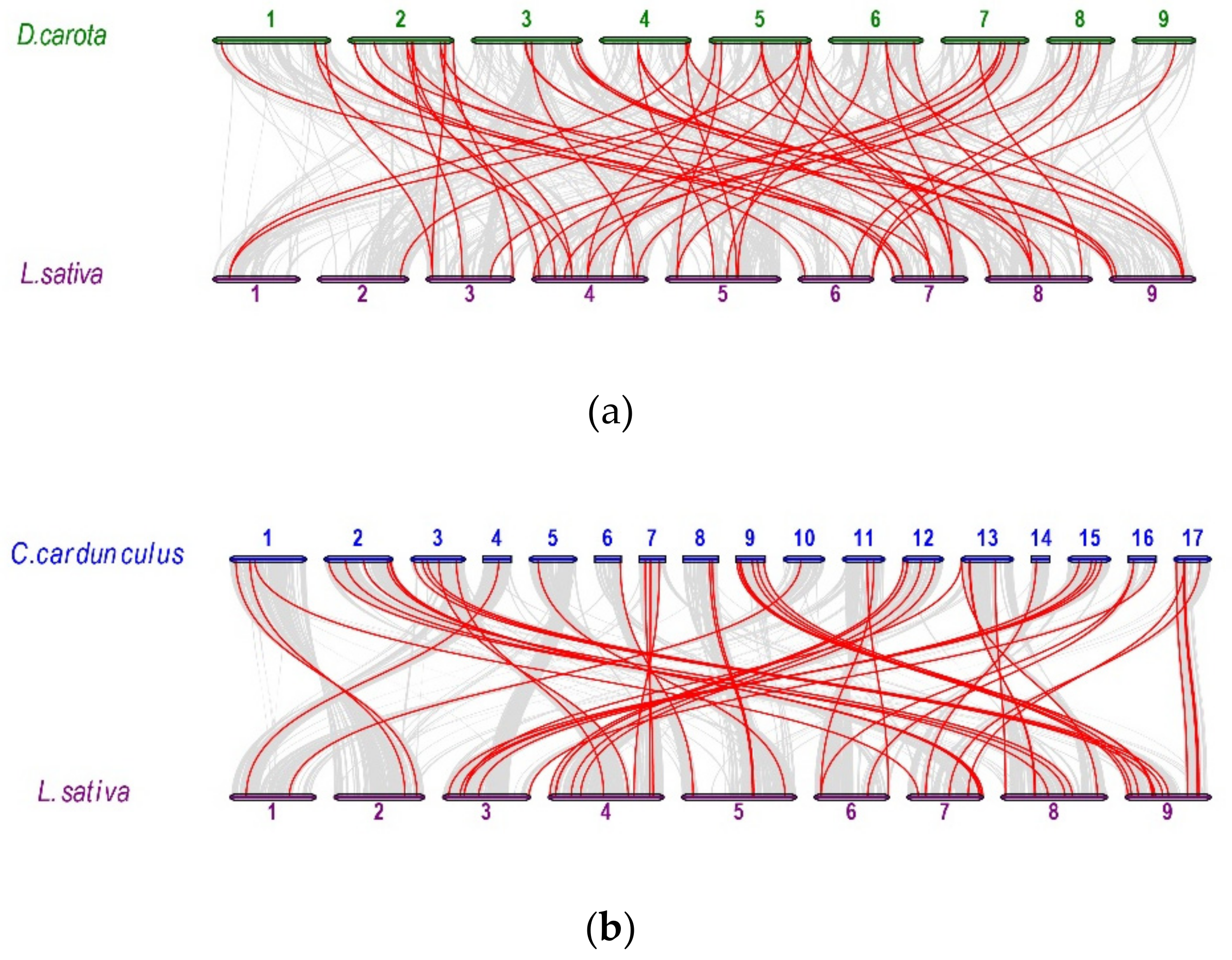 Plants 08 00393 g007