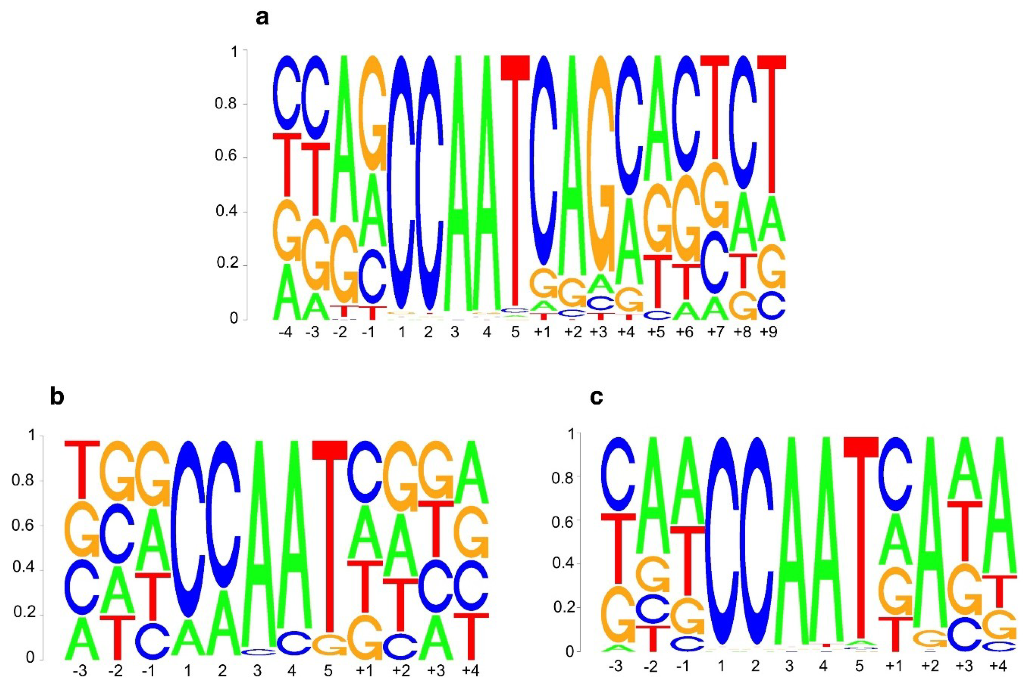 De novo discovered promoter motifs. Sequence logos for motifs