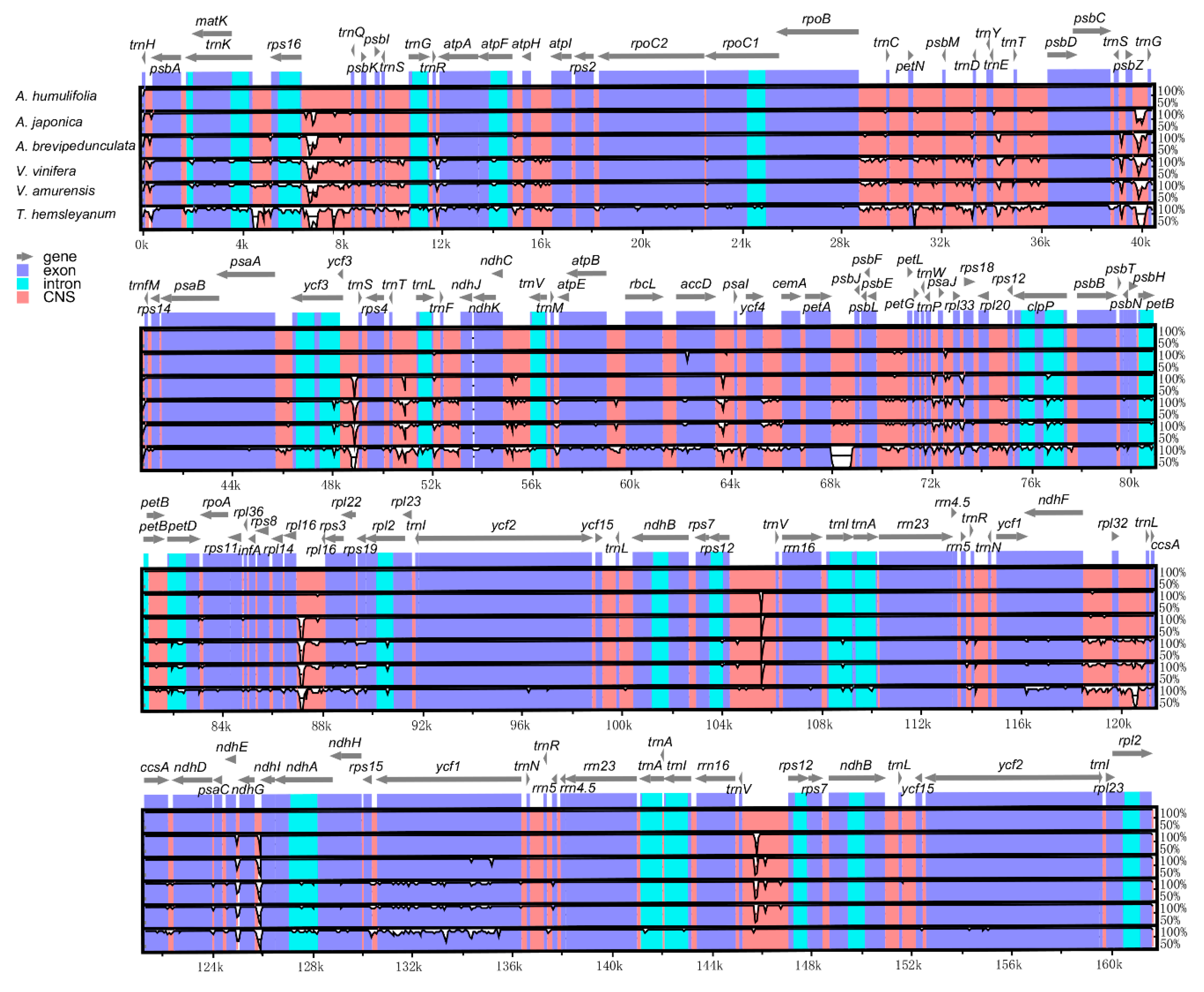 Plants 08 00410 g004