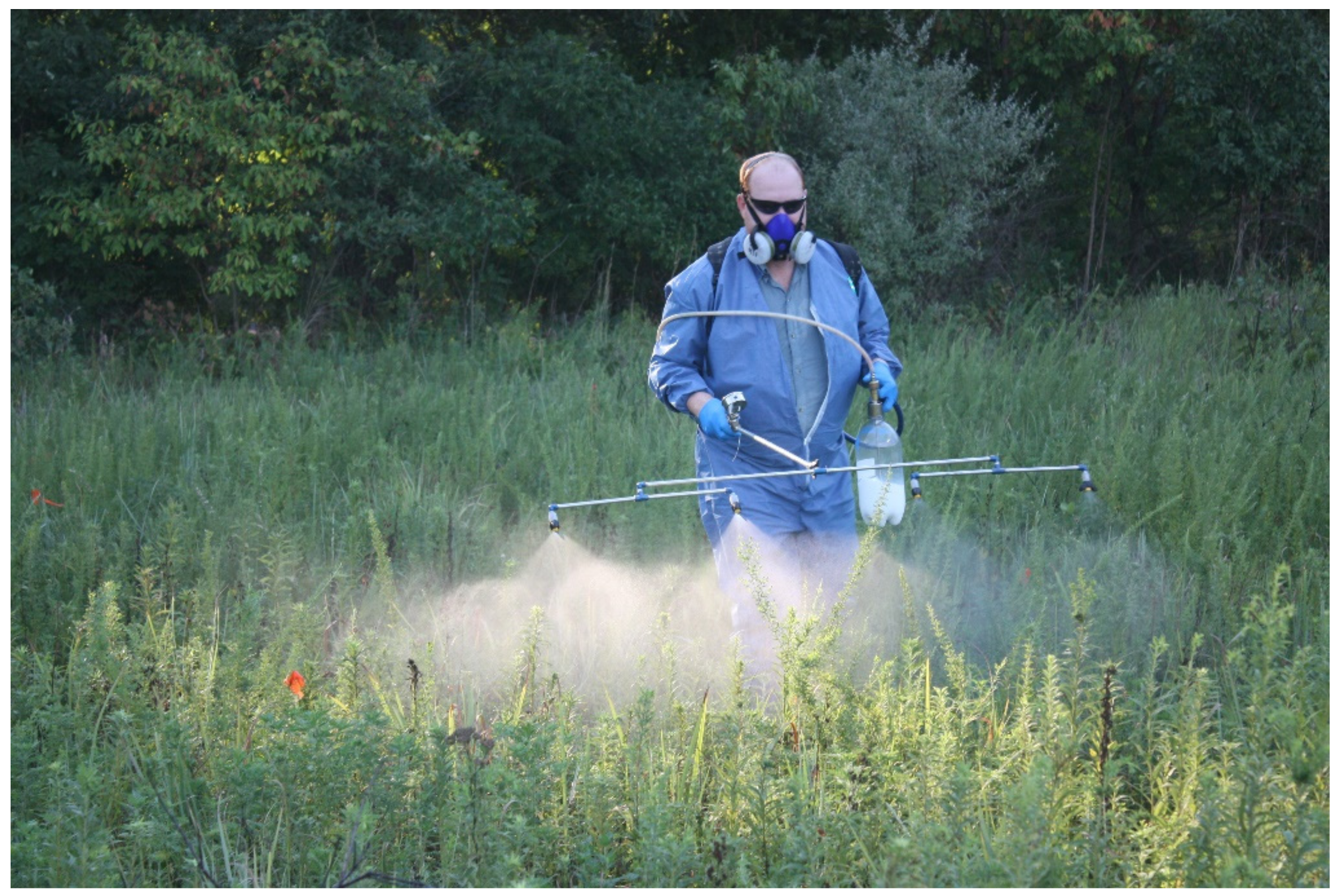 Plants 08 00426 g003