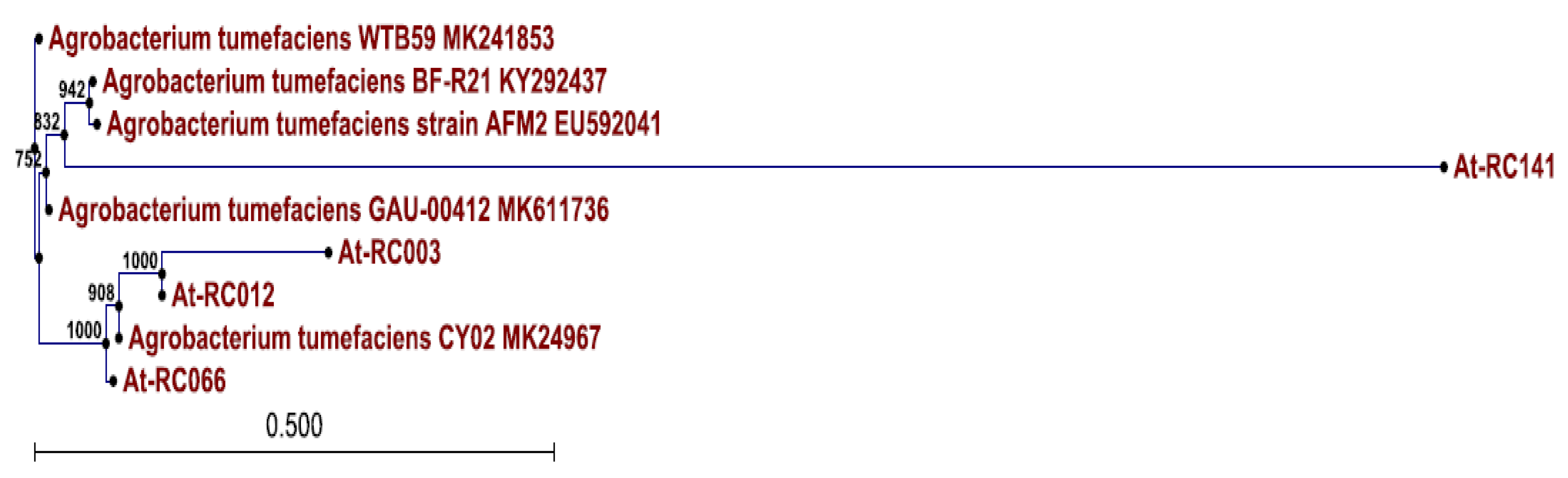 Plants 08 00452 g004