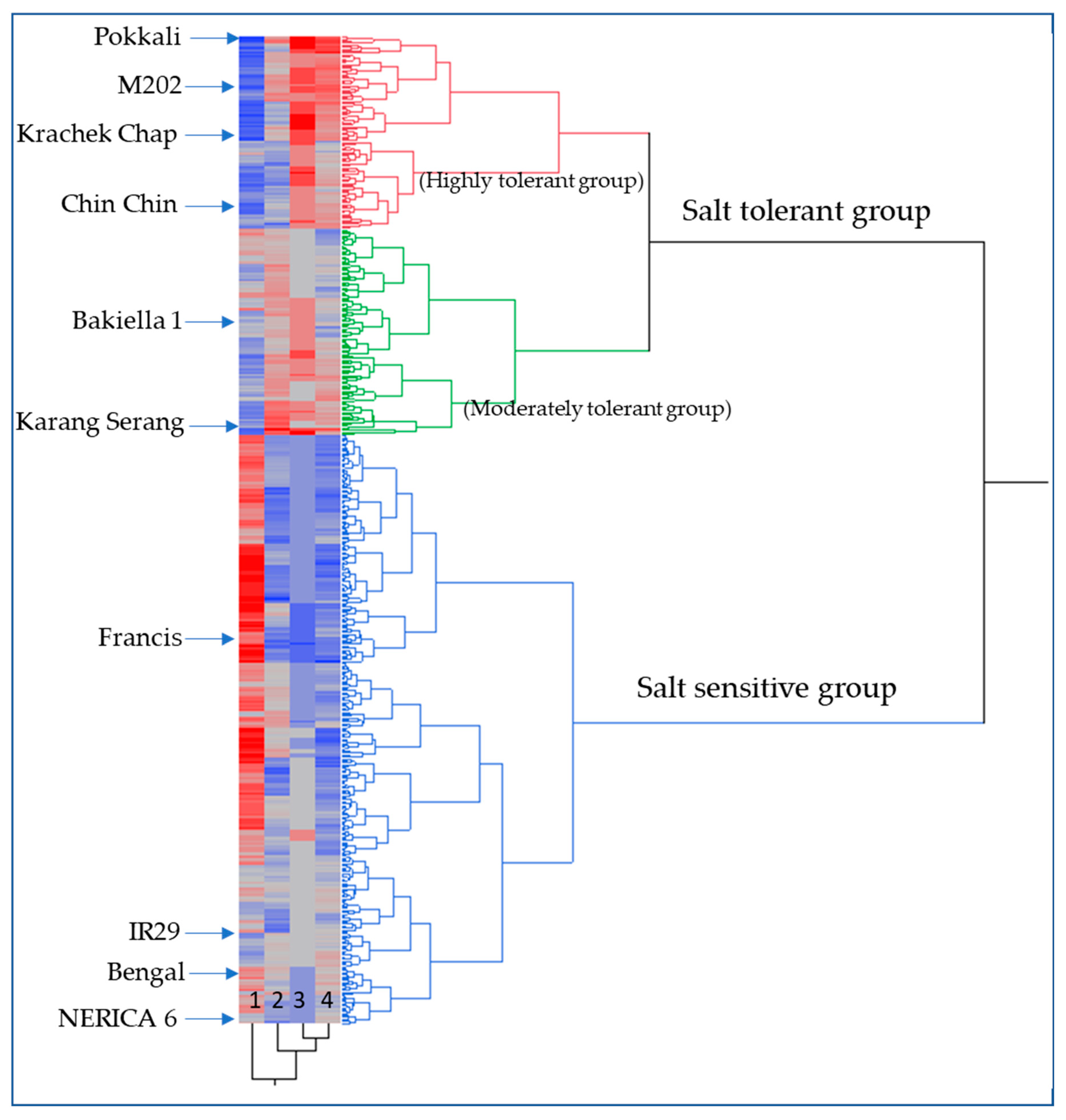 Plants 08 00472 g001