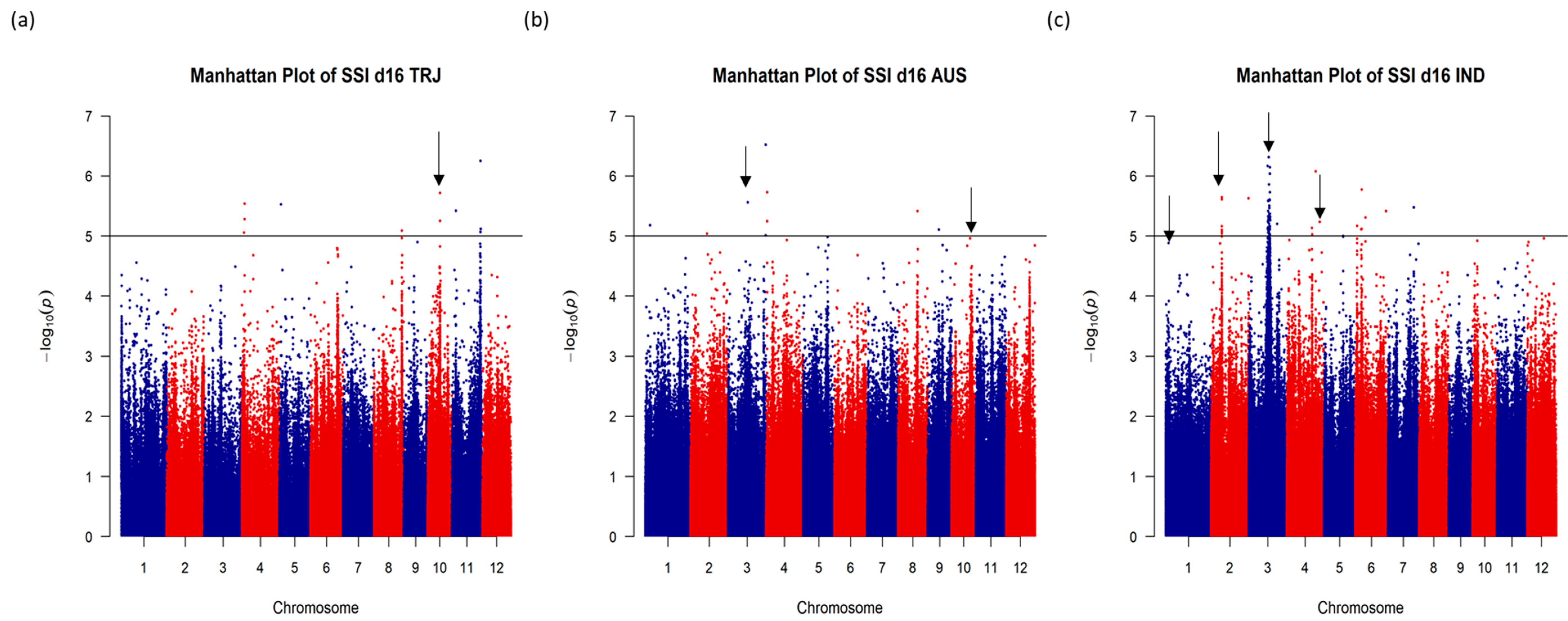 Plants 08 00472 g002