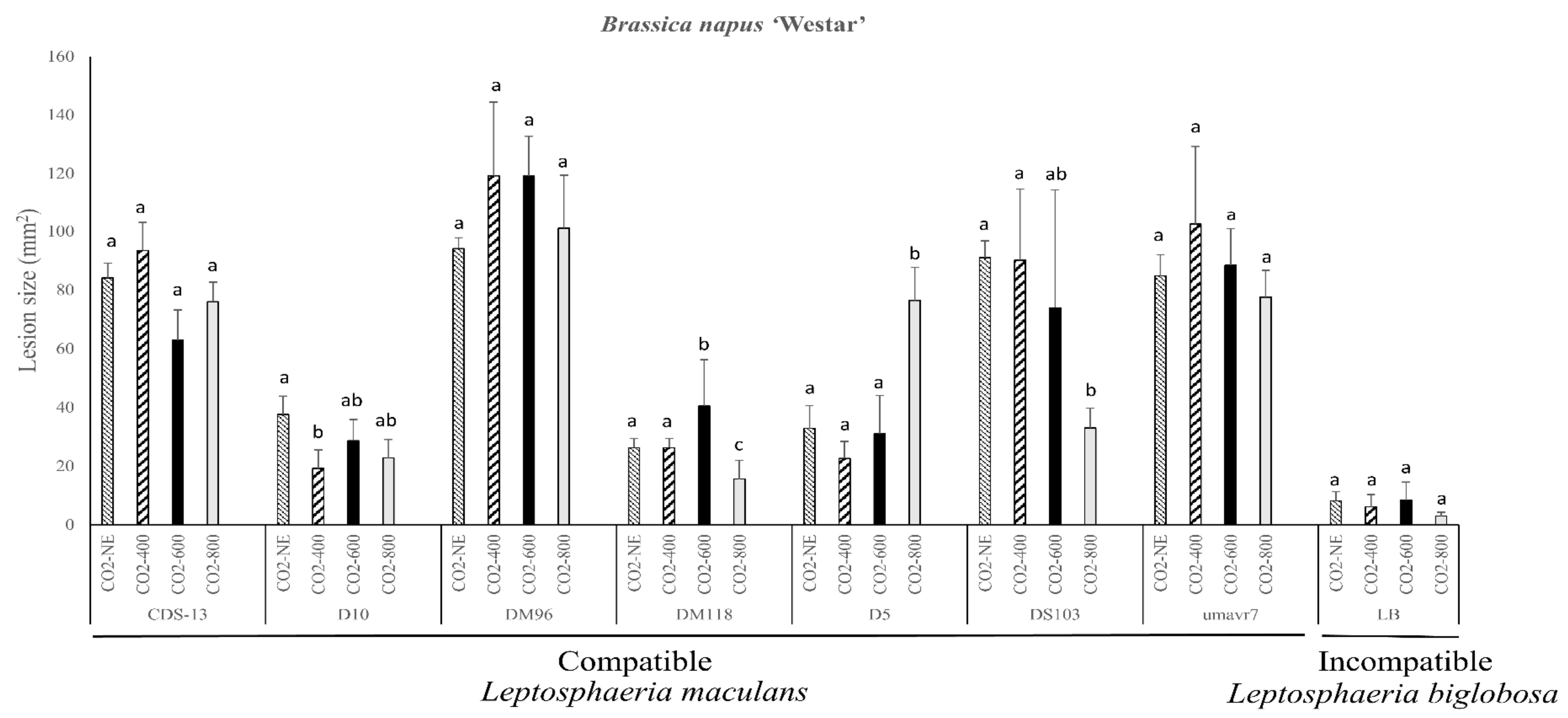 Plants 08 00484 g001