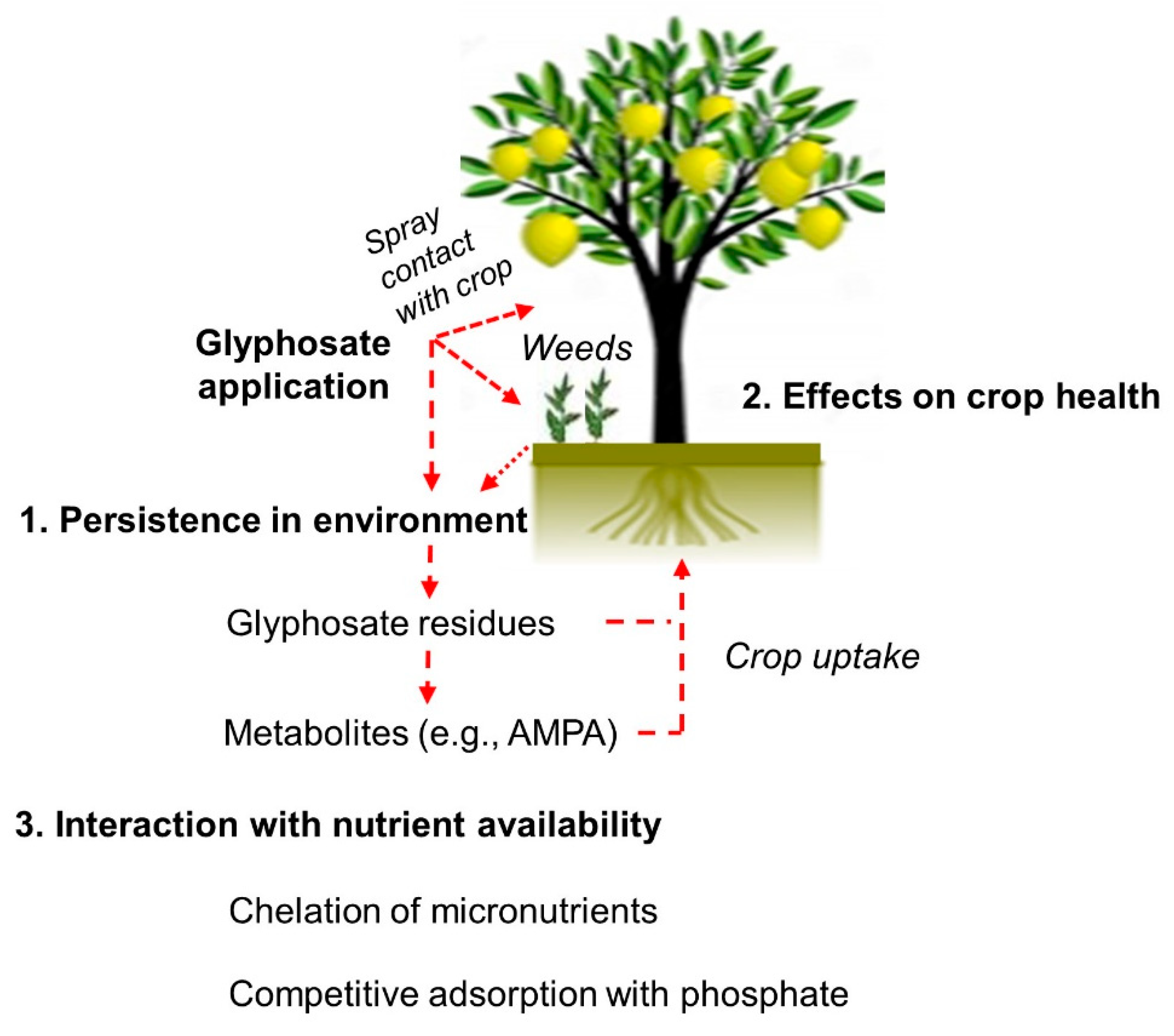 Plants Free Full Text Glyphosate Its Environmental Persistence And Impact On Crop Health And Nutrition Html