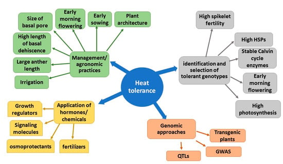 Plants Free Full Text Mechanisms And Adaptation Strategies To Improve Heat Tolerance In Rice A Review Html