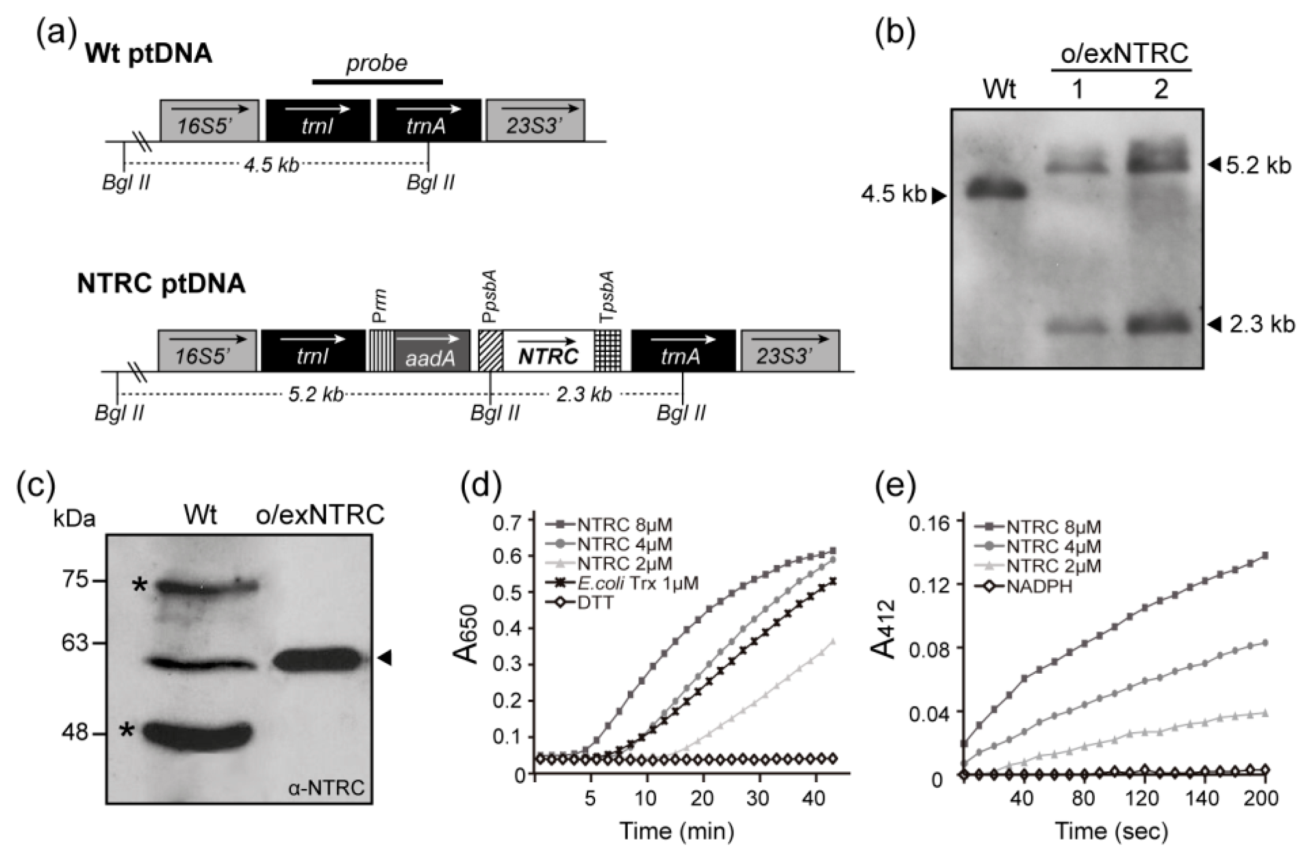 Plants 08 00543 g001 Plants 08 00543 g001