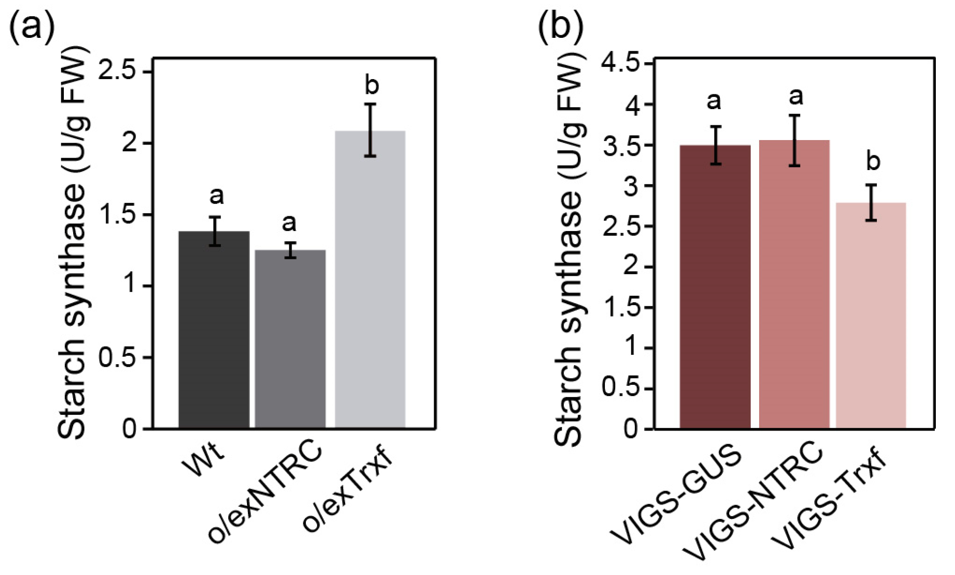 Plants 08 00543 g005 Plants 08 00543 g005
