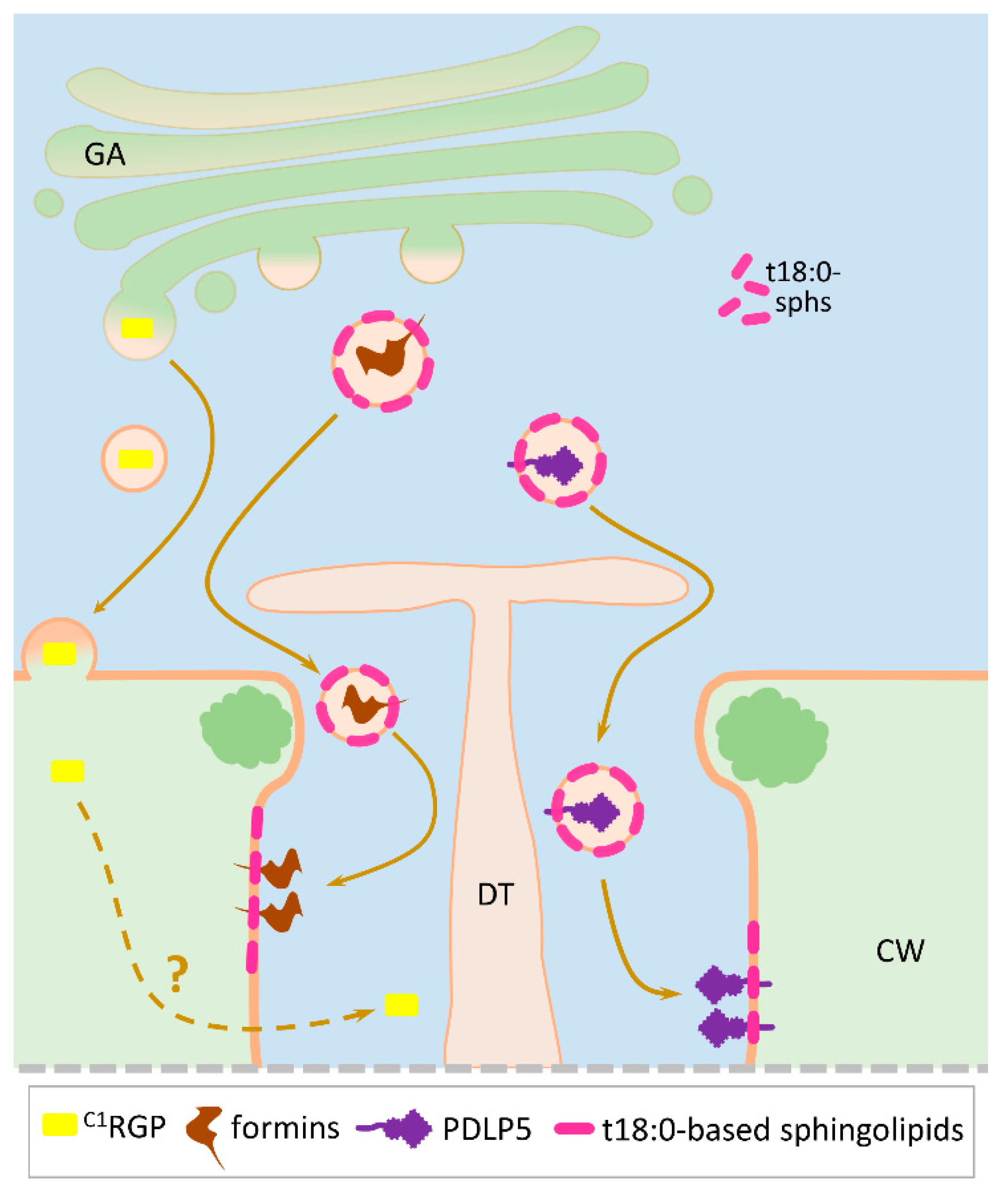 Plants 08 00595 g003