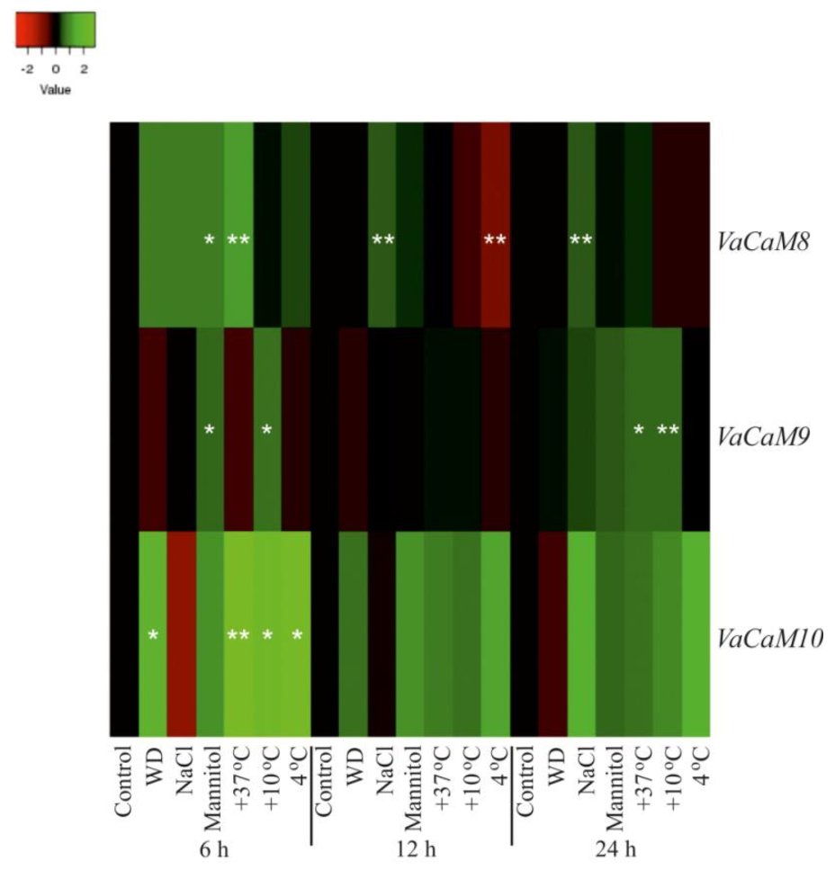 Plants 08 00602 g002