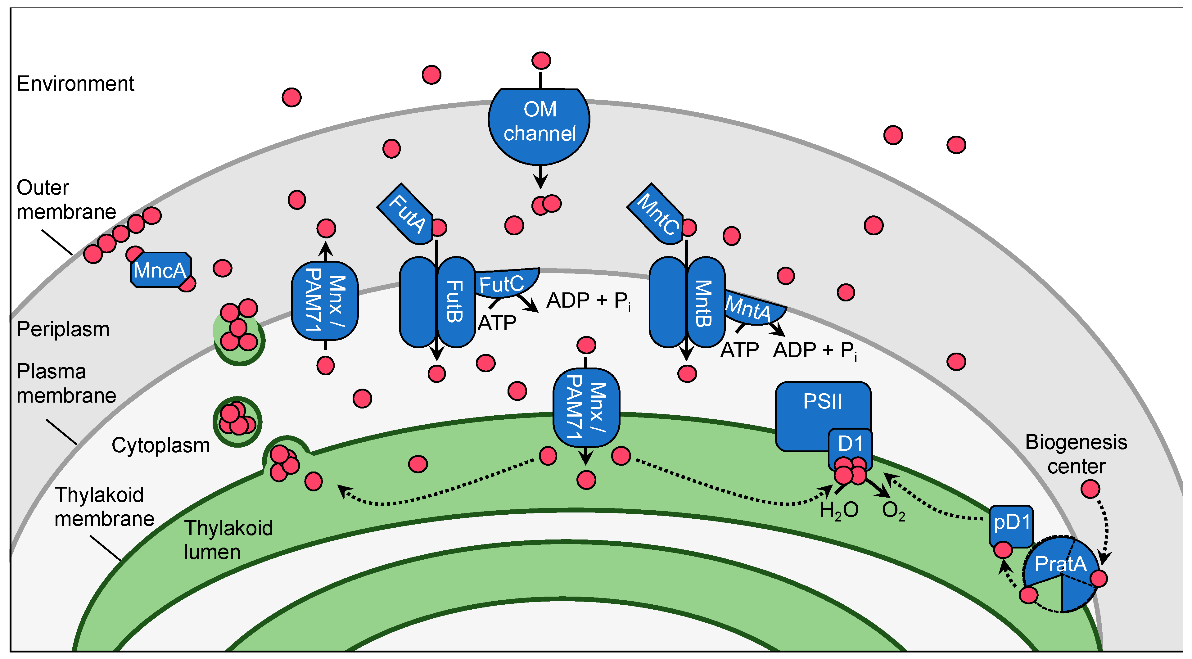 Plants 09 00018 g001 Plants 09 00018 g001