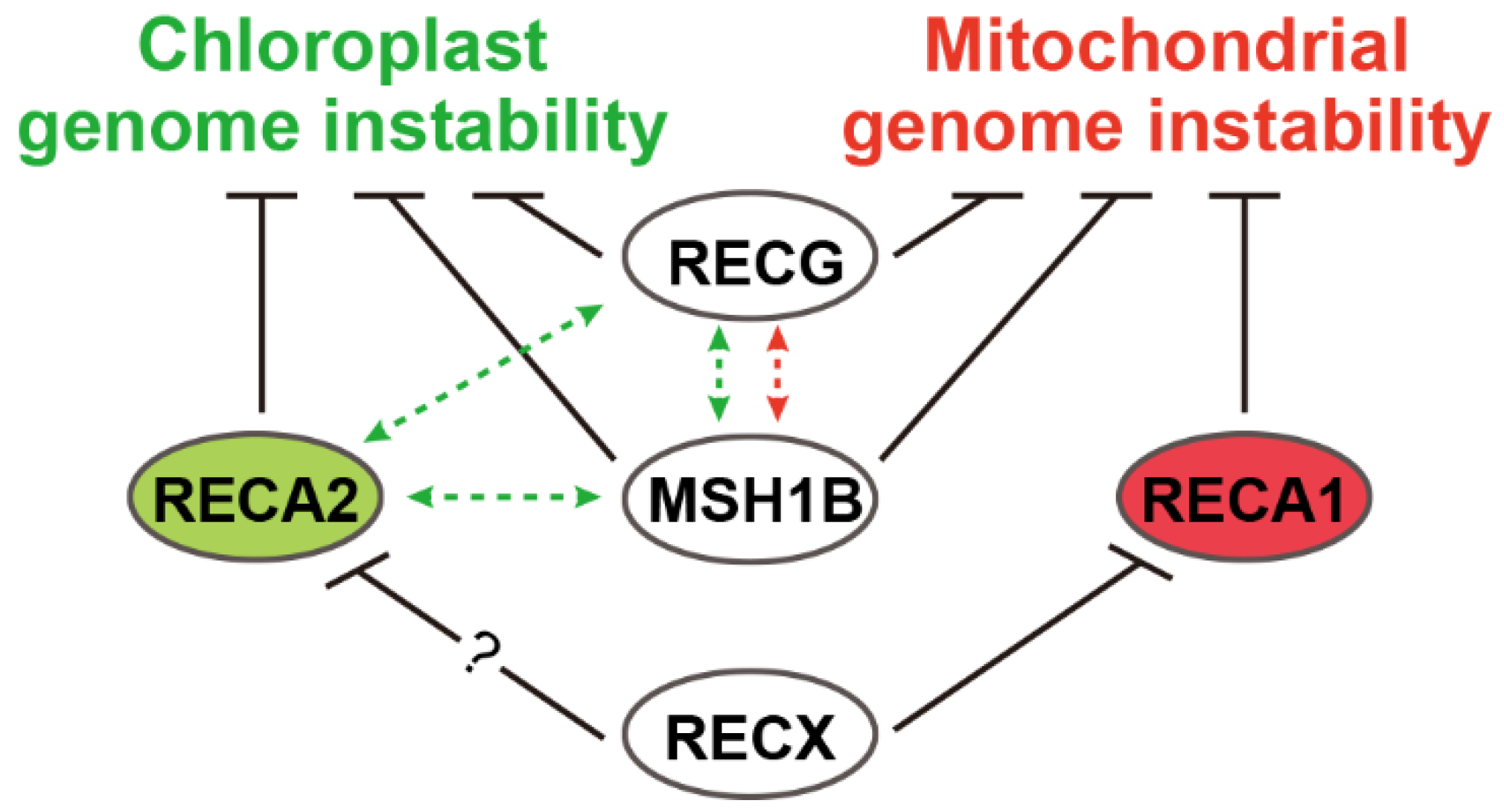 Plants 09 00145 g001 Plants 09 00145 g001
