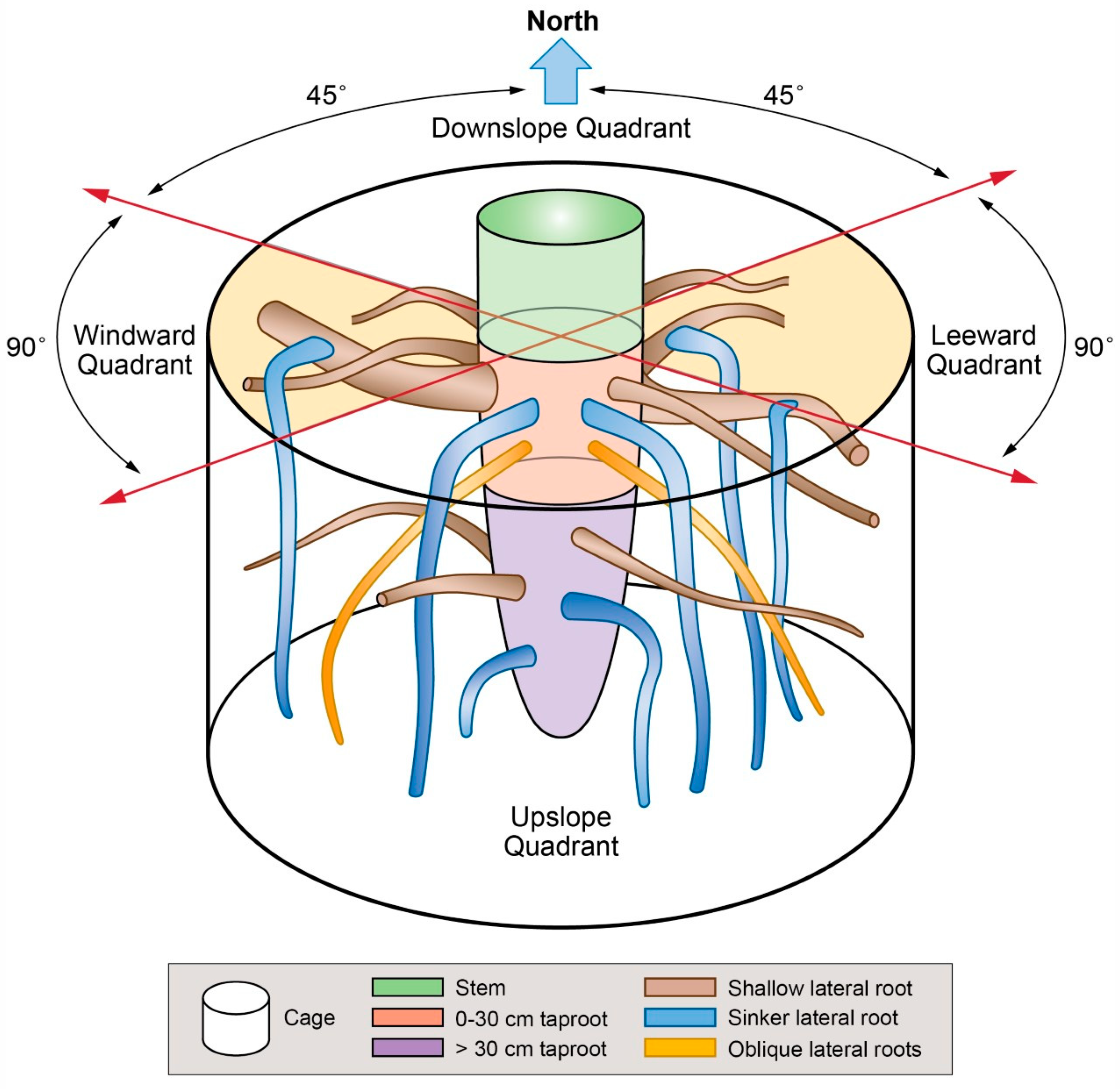 Plants 09 00181 g001 Plants 09 00181 g001