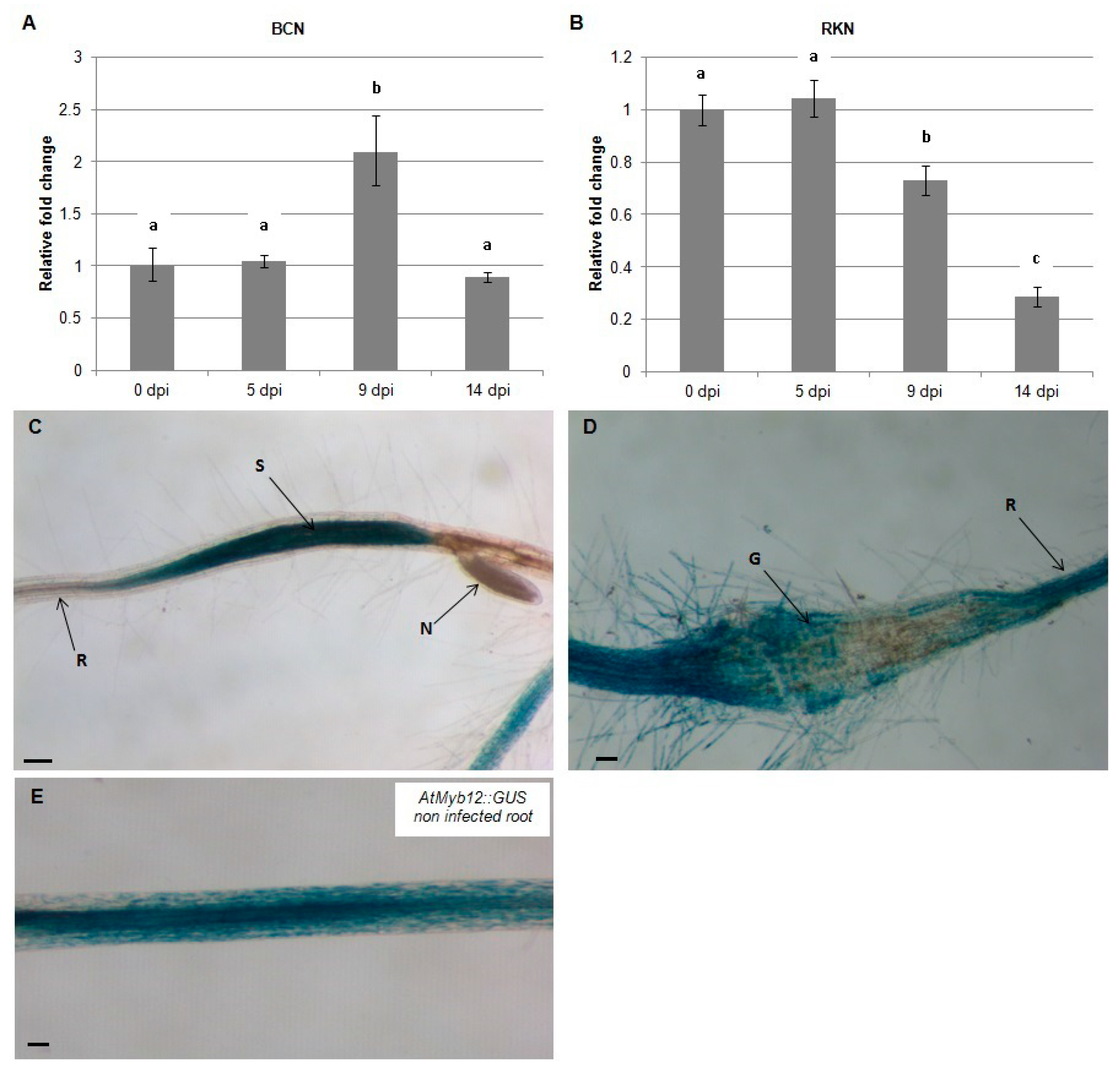 Plants 09 00253 g001