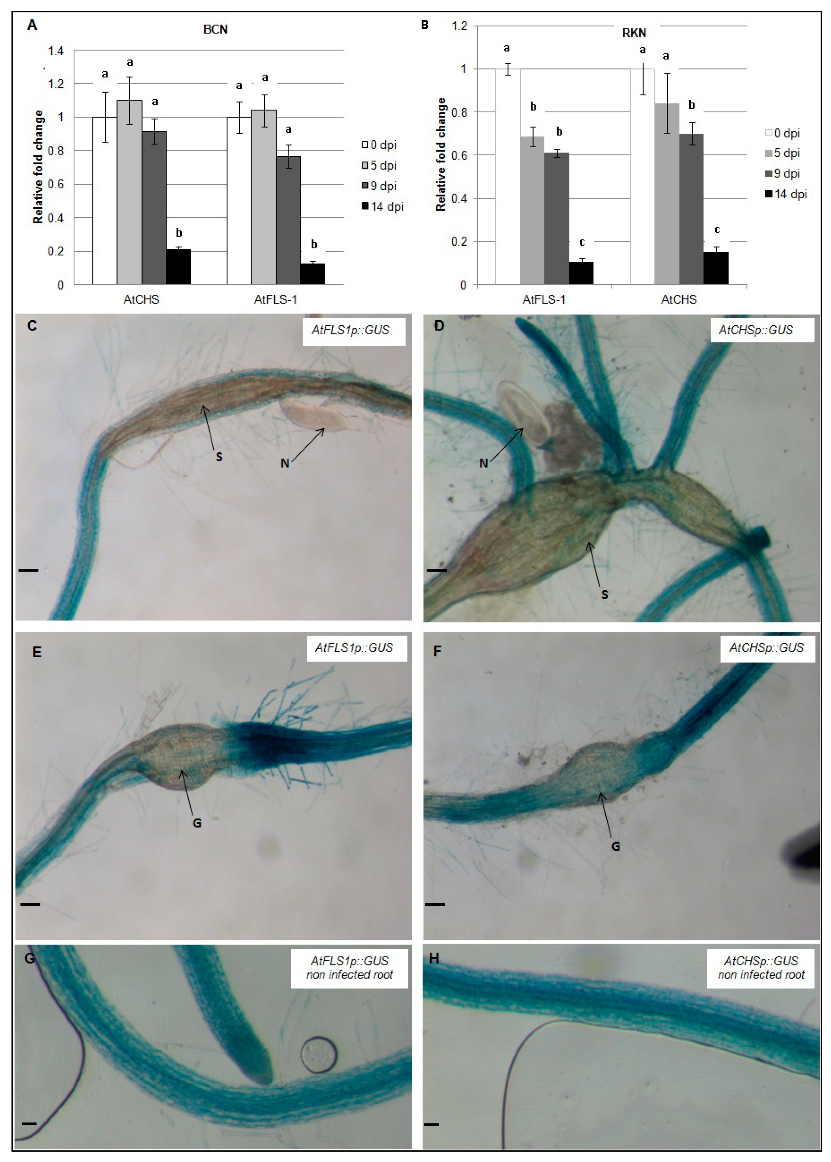 Plants 09 00253 g003