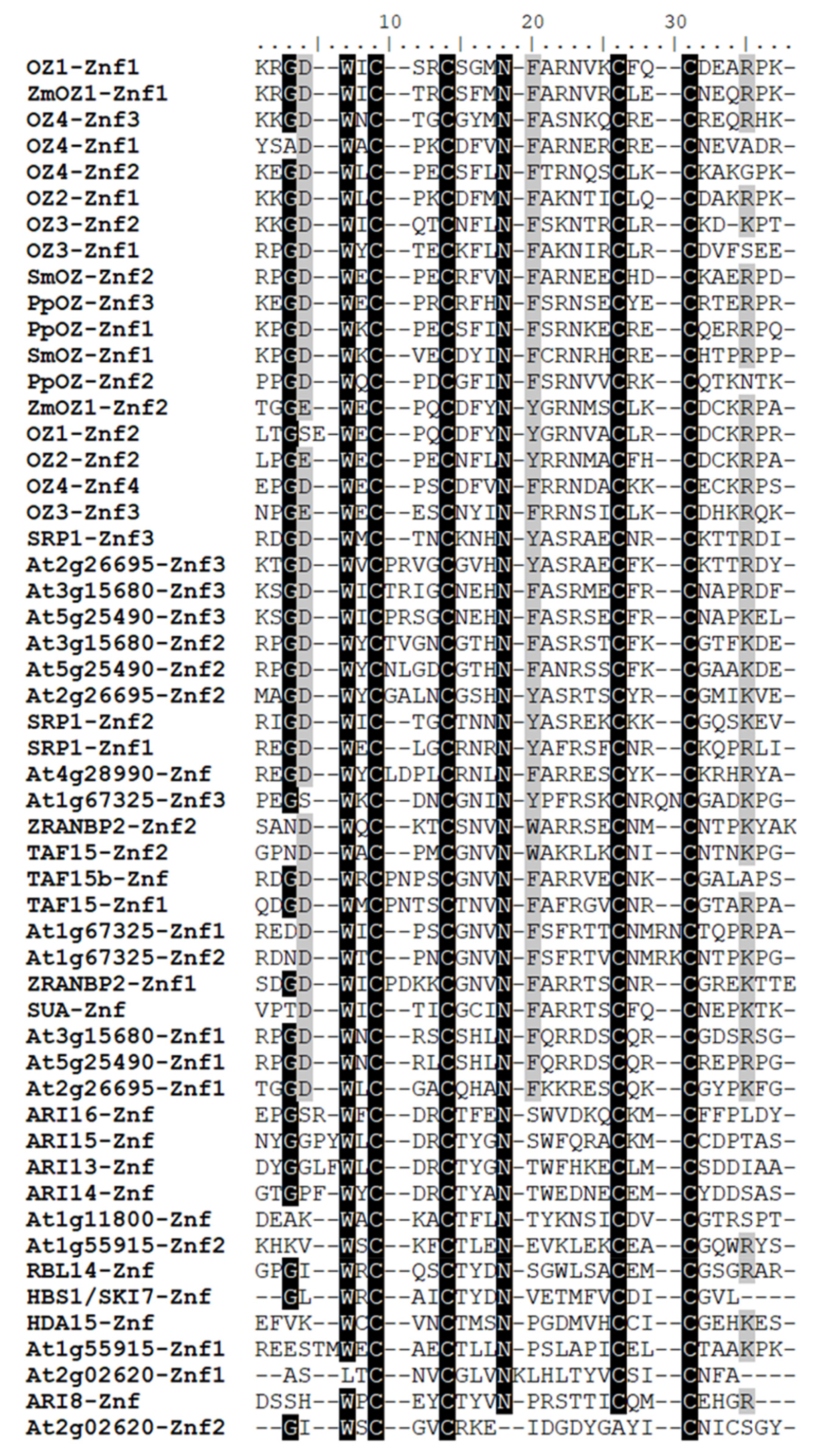 Plants 09 00307 g004