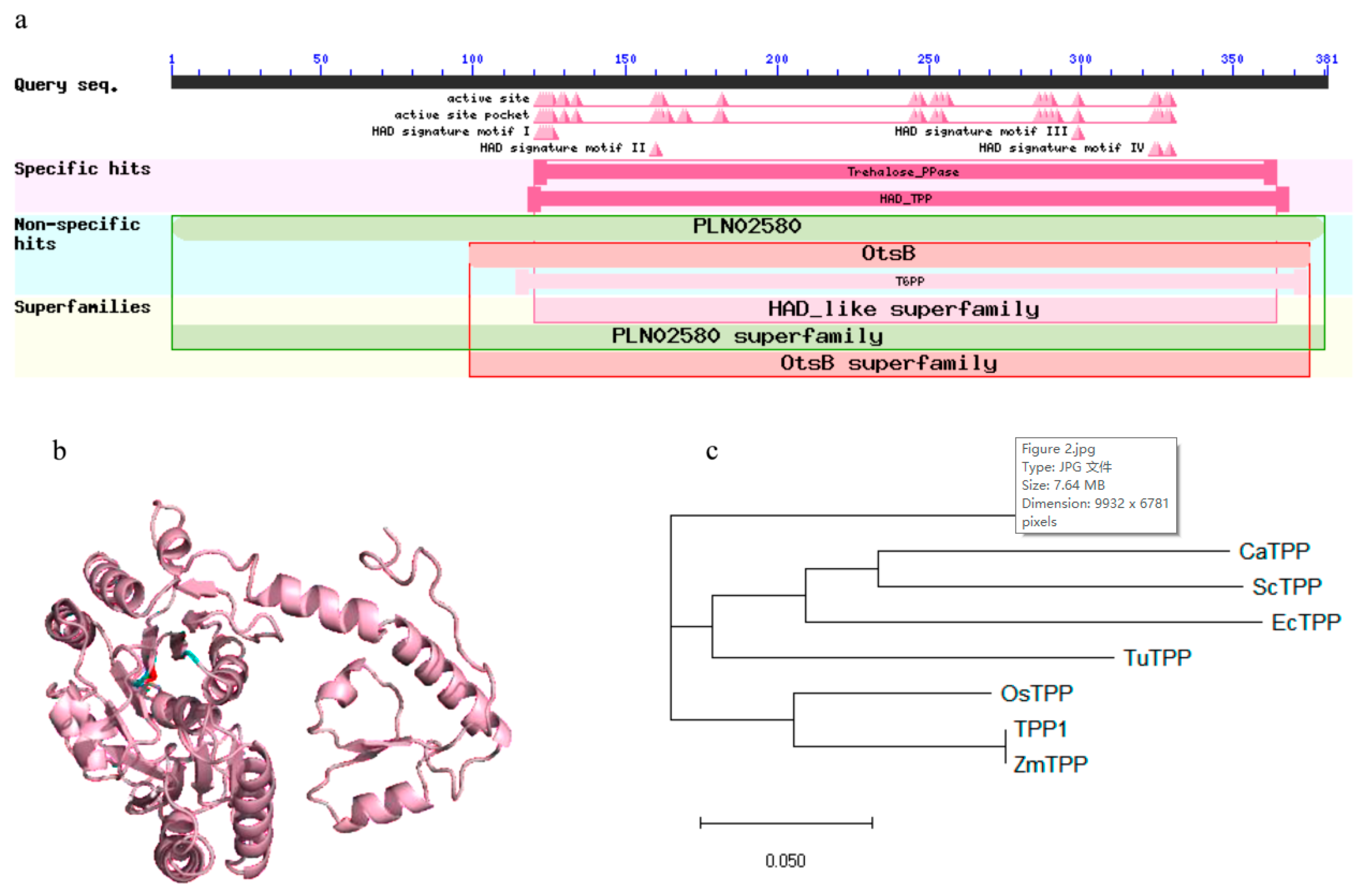 Plants 09 00315 g002