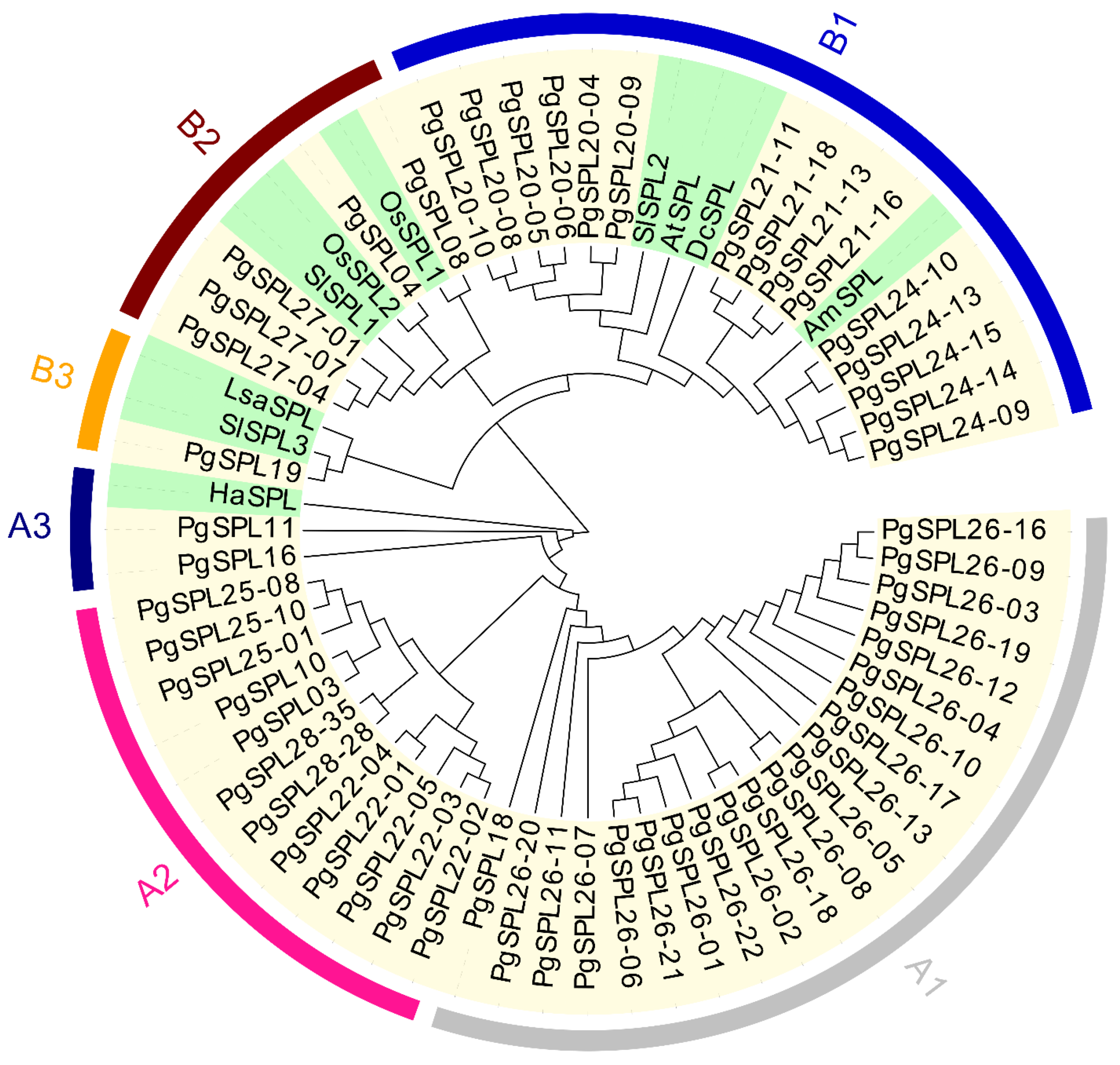 Plants 09 00354 g002 Plants 09 00354 g002