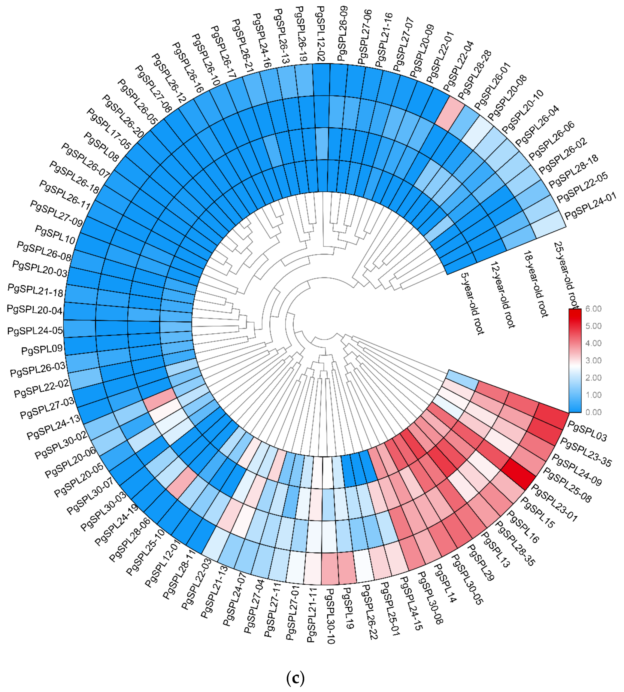 Plants 09 00354 g008c Plants 09 00354 g008c