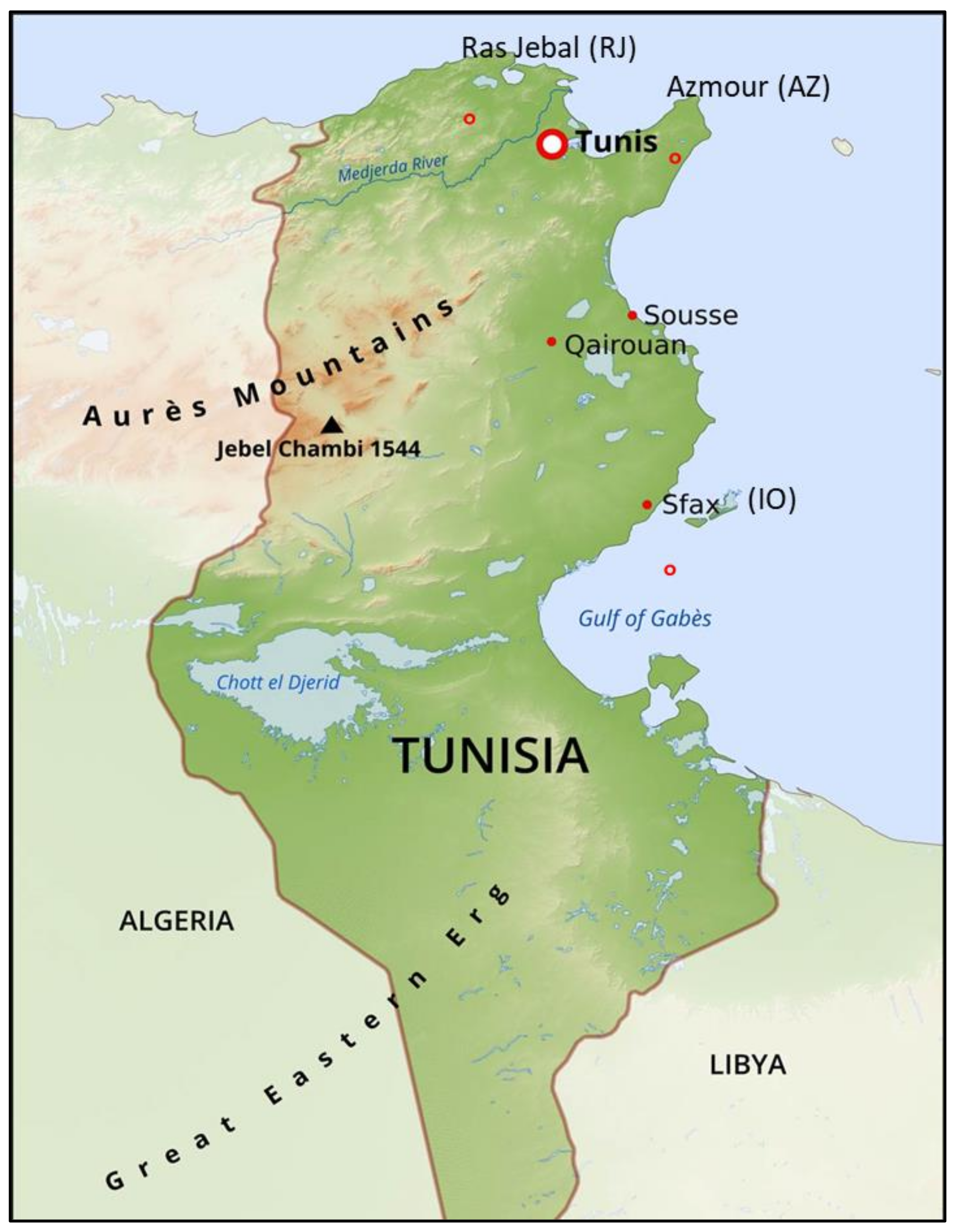 Где находится тунис на карте. Tunisia in Map. Tunisia перевод.