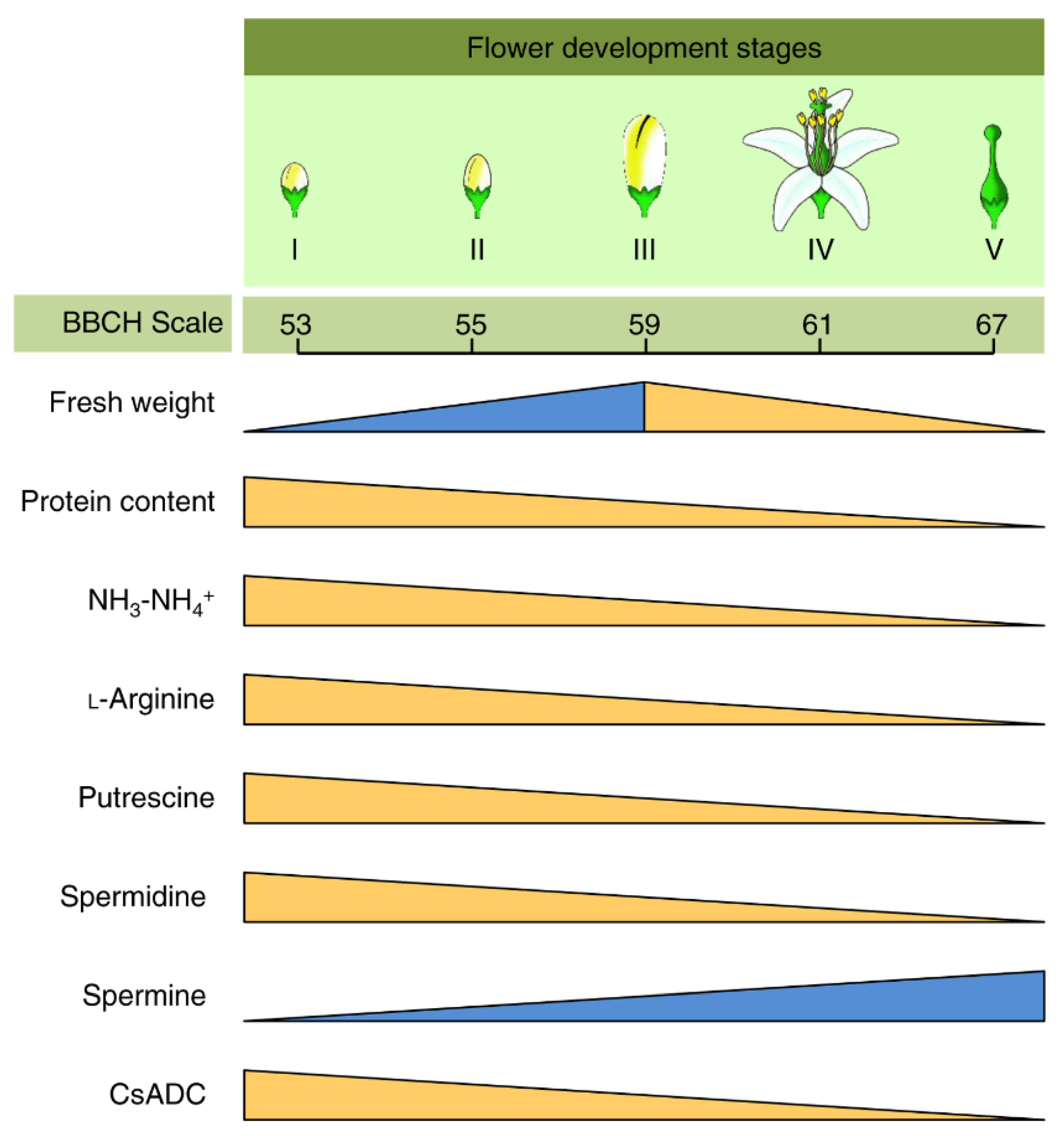 Plants 09 00426 g005