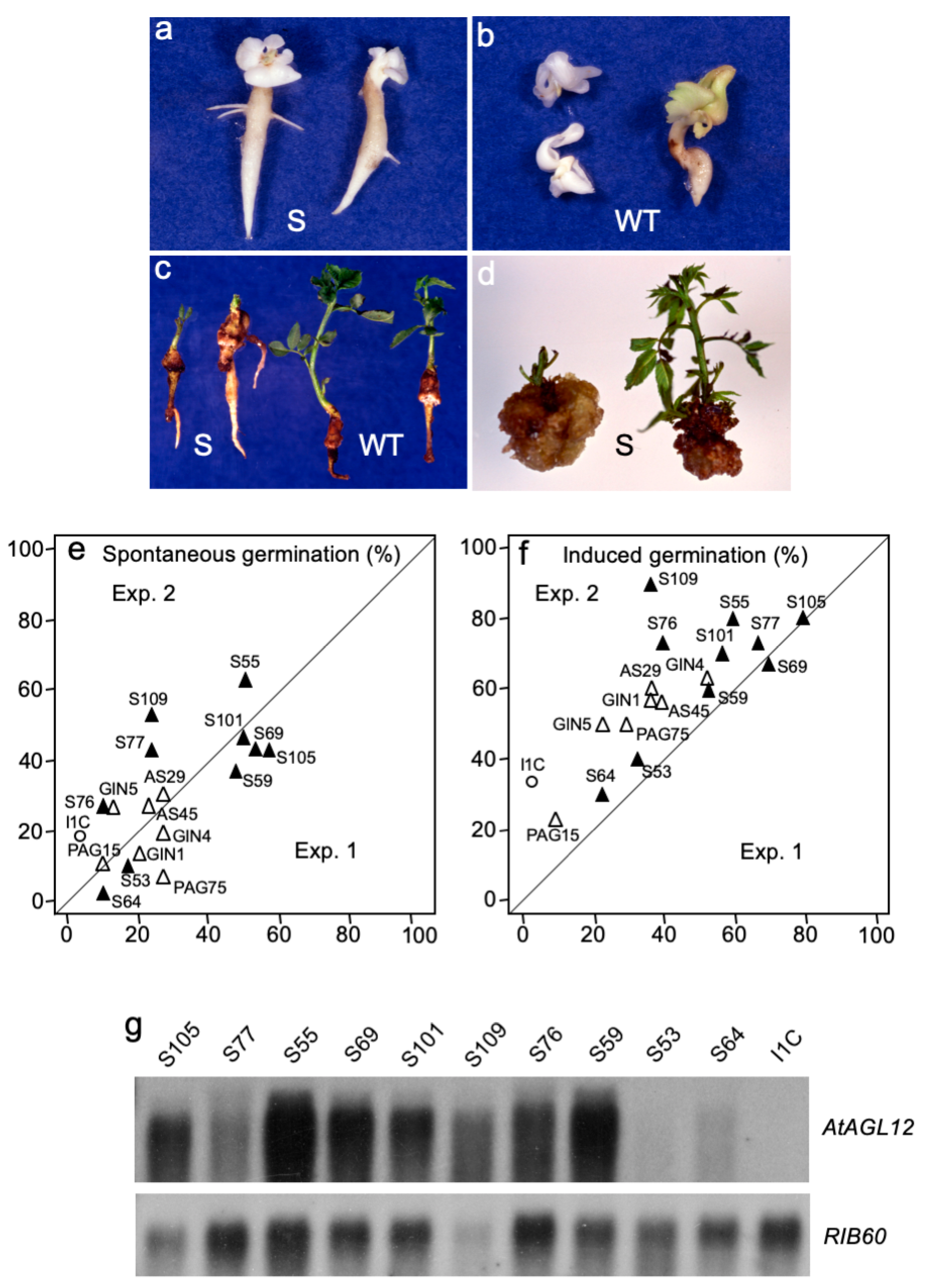 Plants 09 00444 g002