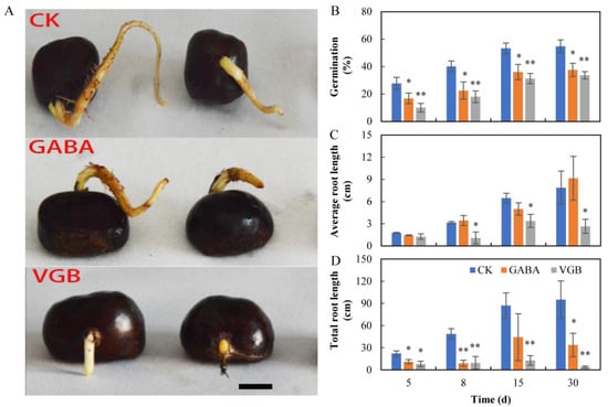 Plants Free Full Text Effects Of Gaba And Vigabatrin On The Germination Of Chinese Chestnut Recalcitrant Seeds And Its Implications For Seed Dormancy And Storage Html