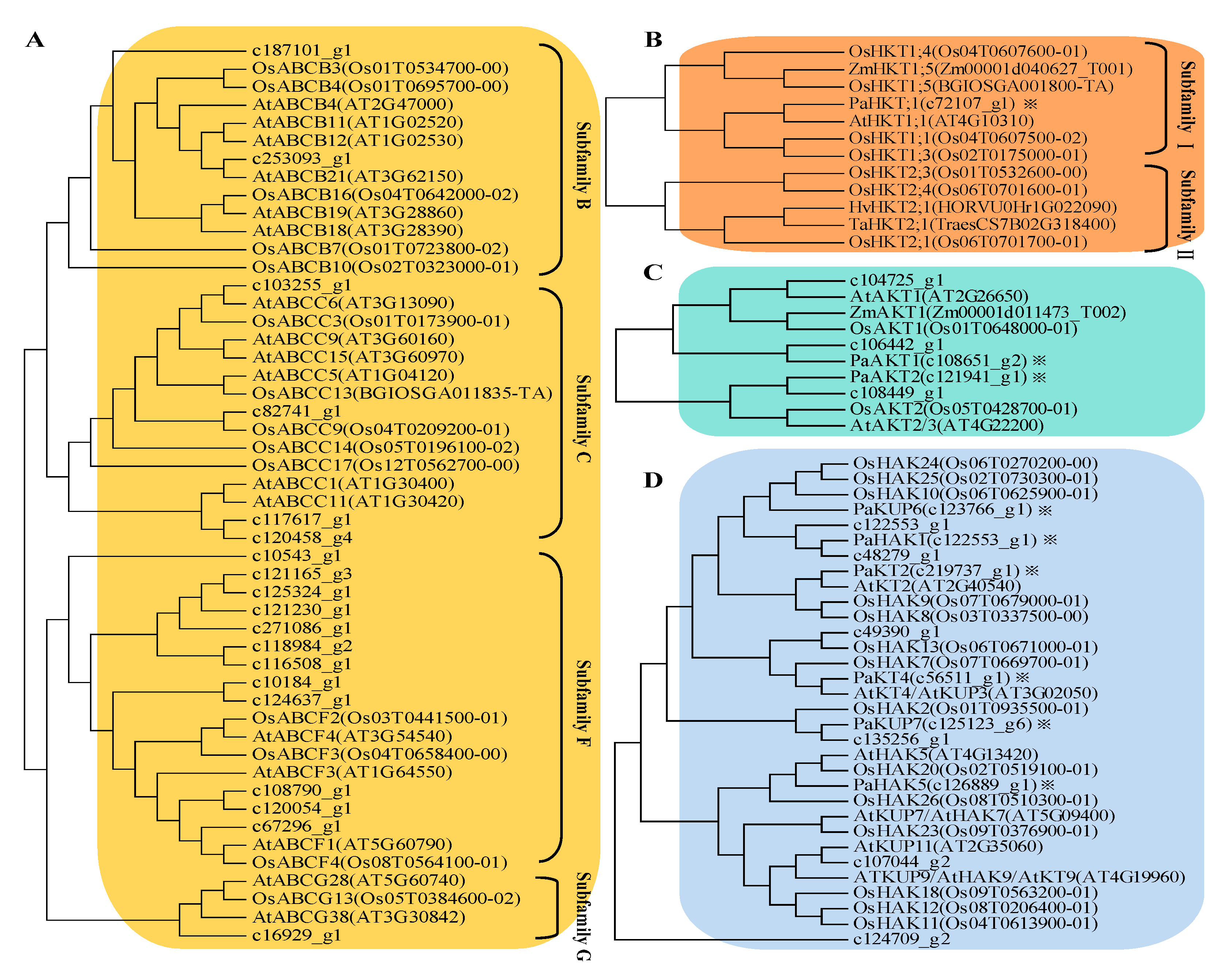 Plants 09 00470 g005