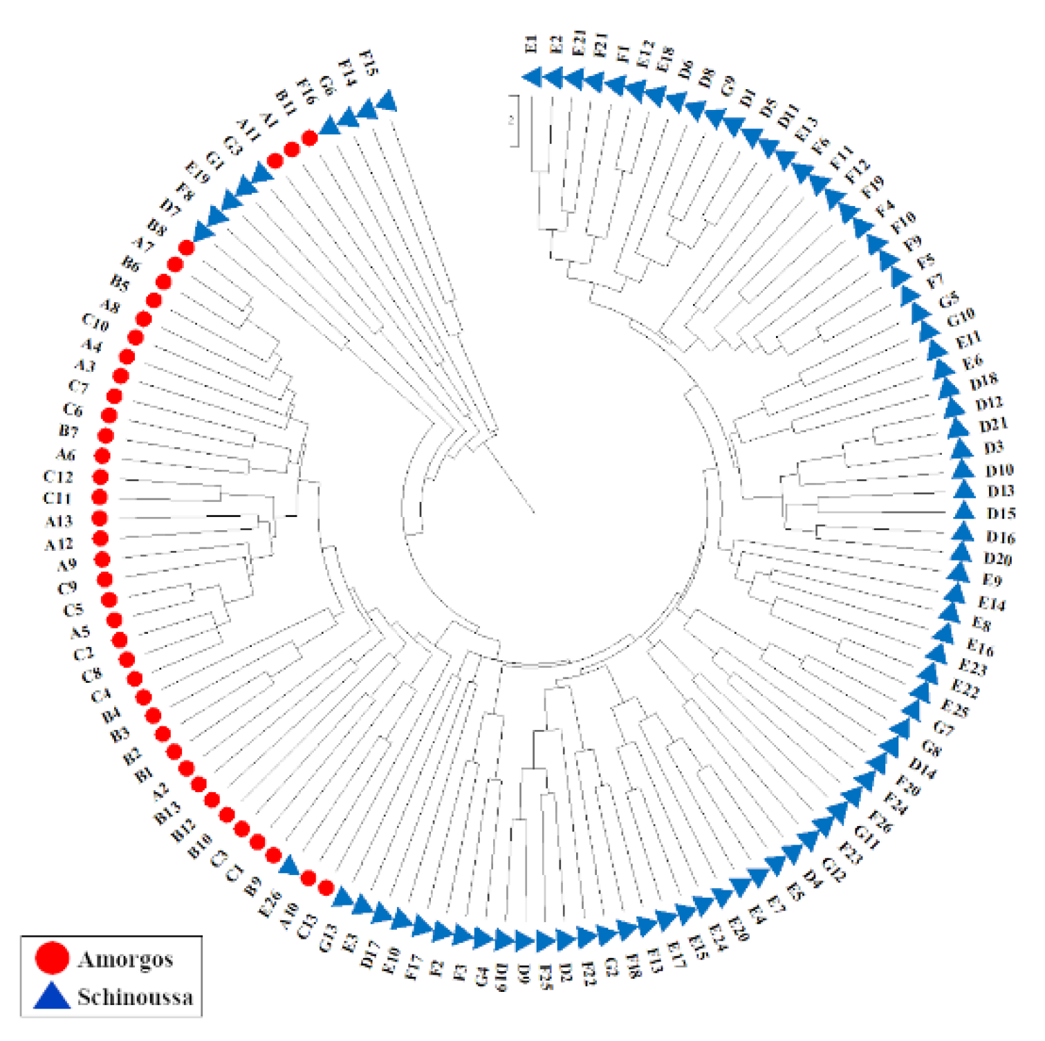 Plants 09 00479 g003 Plants 09 00479 g003
