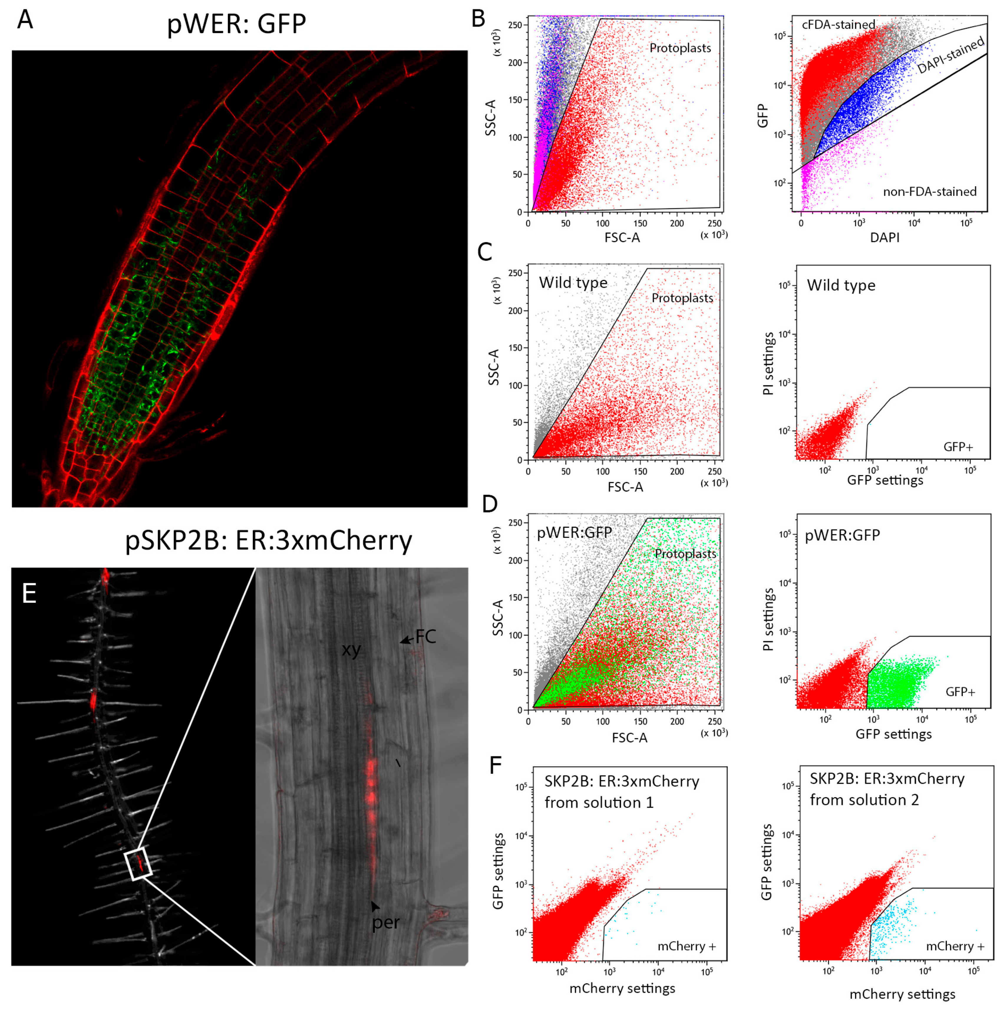 Plants 09 00499 g002 Plants 09 00499 g002