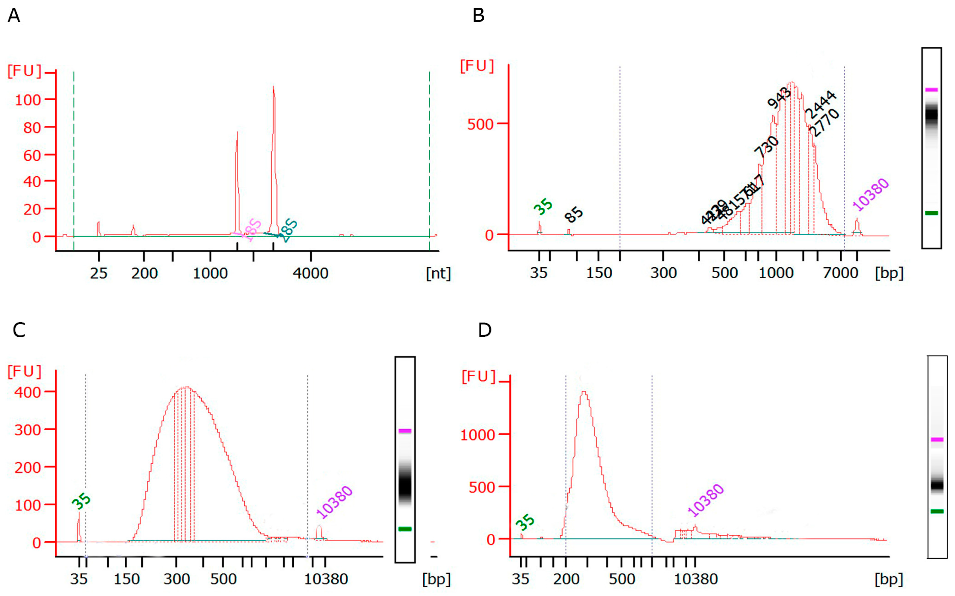 Plants 09 00499 g003 Plants 09 00499 g003