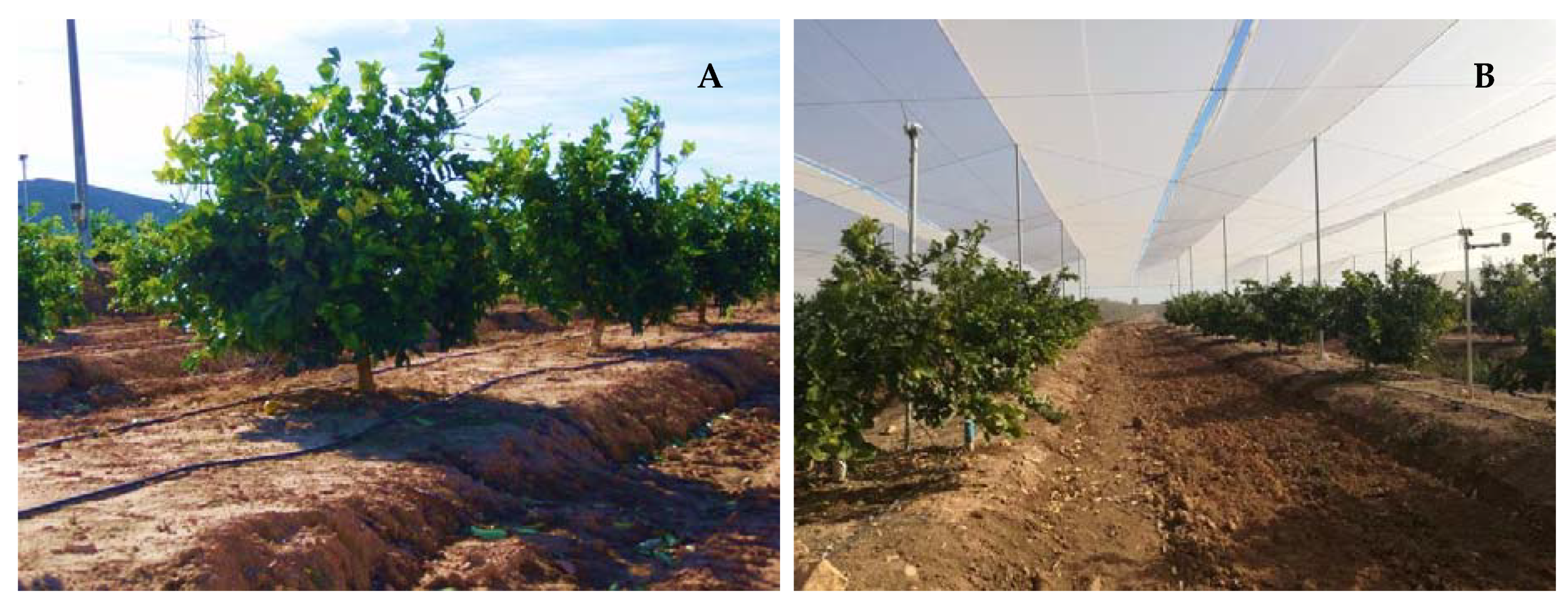 Plants 09 00510 g008 Plants 09 00510 g008