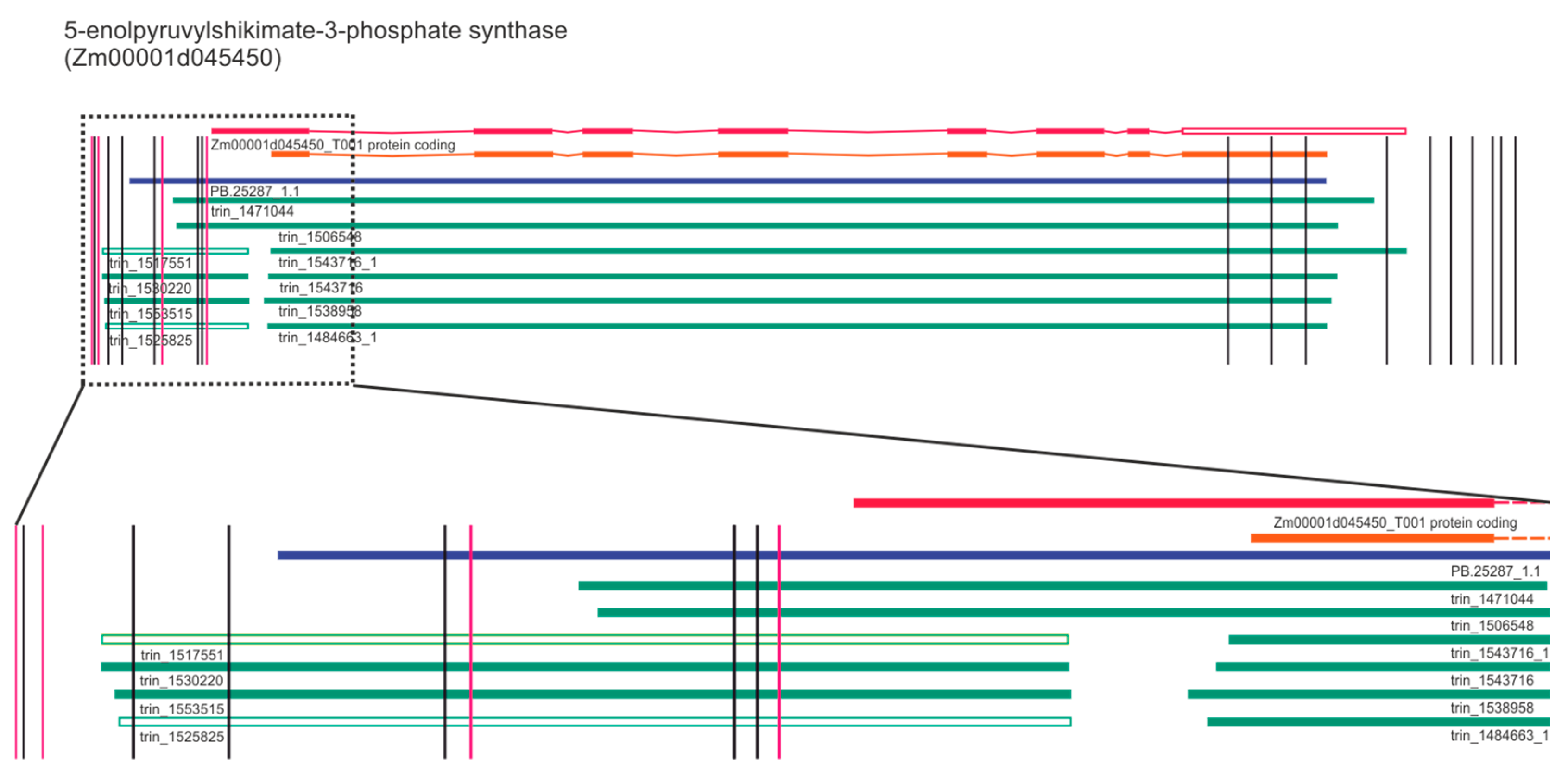 Plants 09 00523 g003 Plants 09 00523 g003