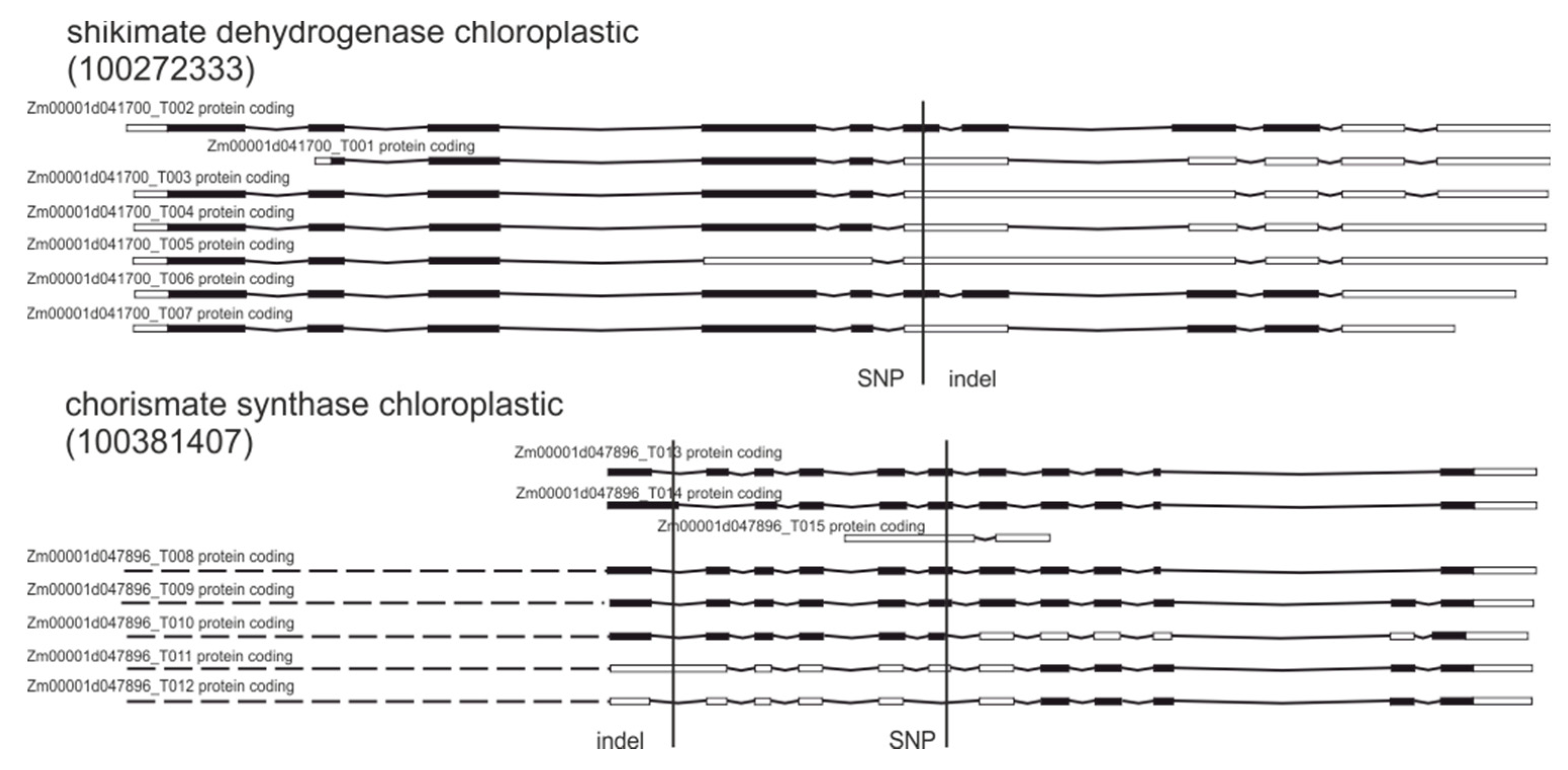 Plants 09 00523 g004 Plants 09 00523 g004