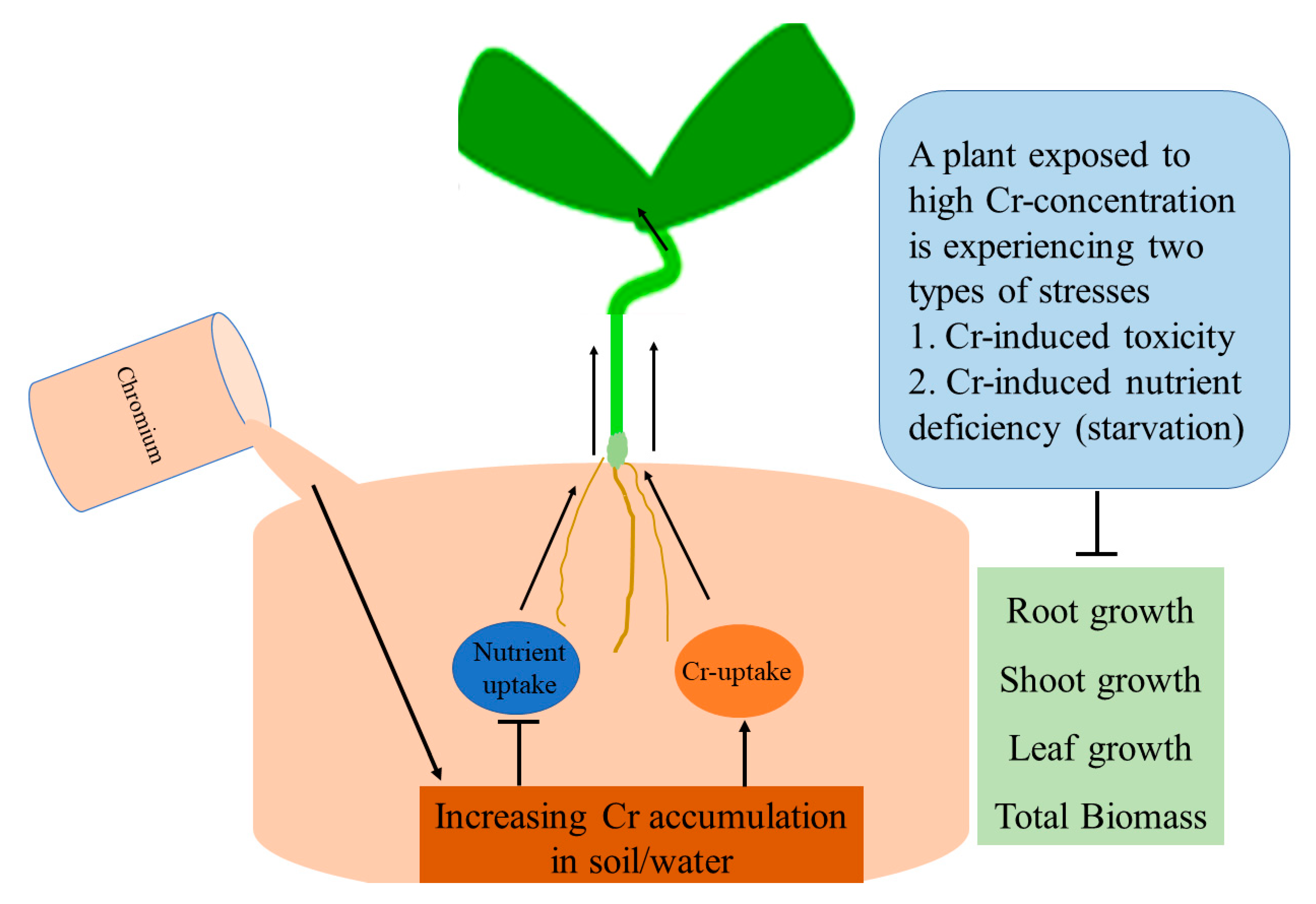 Plants 09 00564 g002