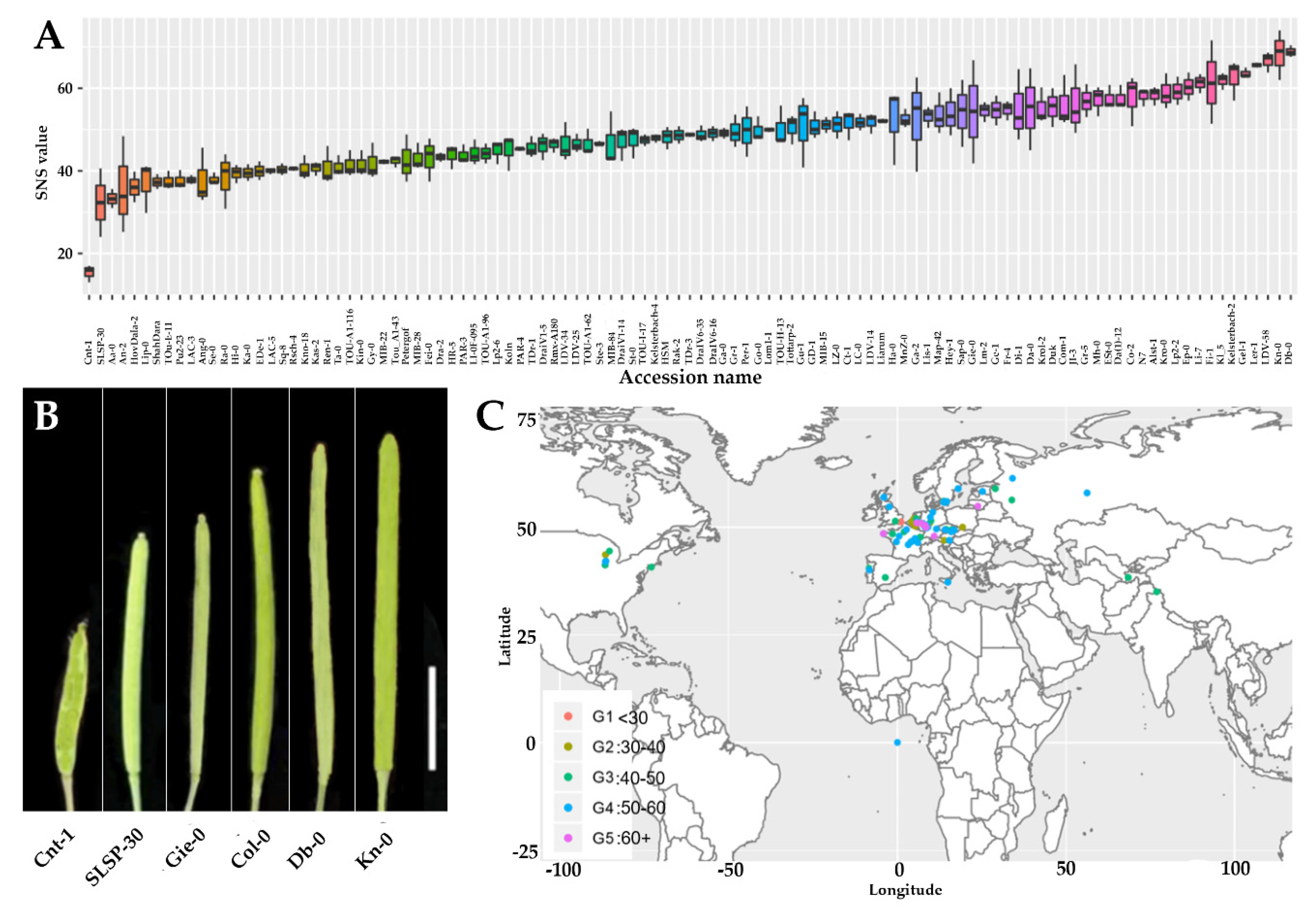Plants Free Full Text Genome Wide Association Analysis Identifies Candidate Genes Regulating Seed Number Per Silique In Arabidopsis Thaliana Html
