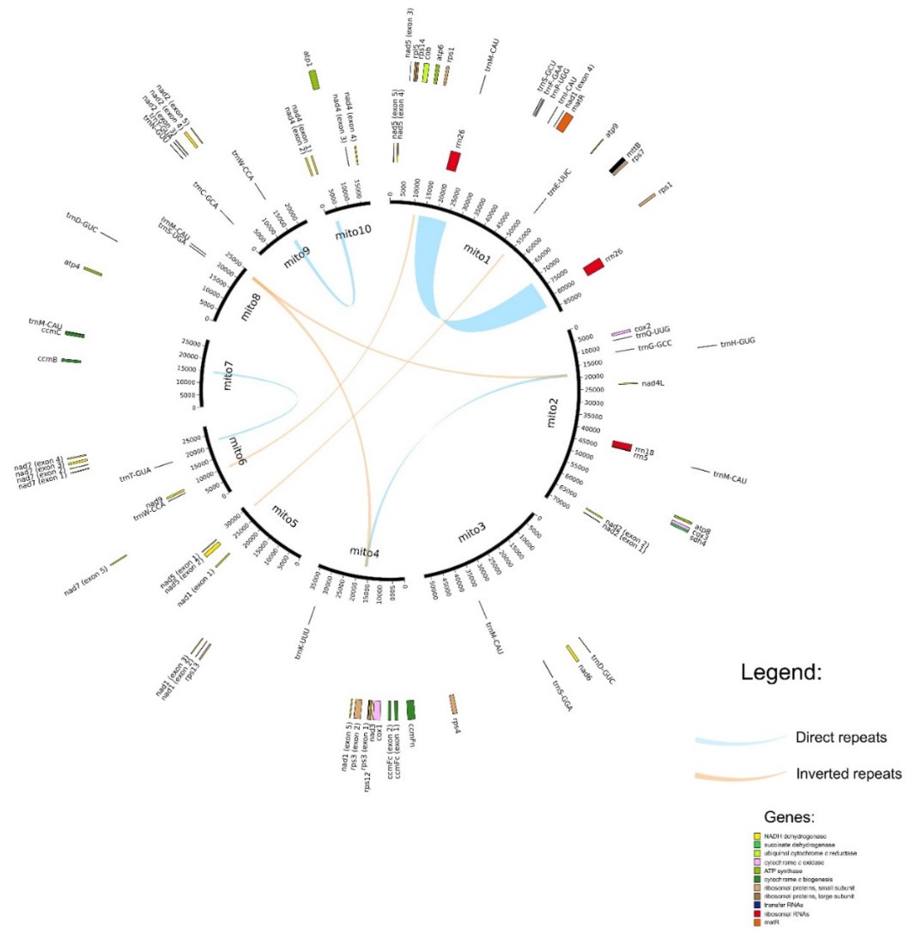 Plants 09 00618 g001 Plants 09 00618 g001