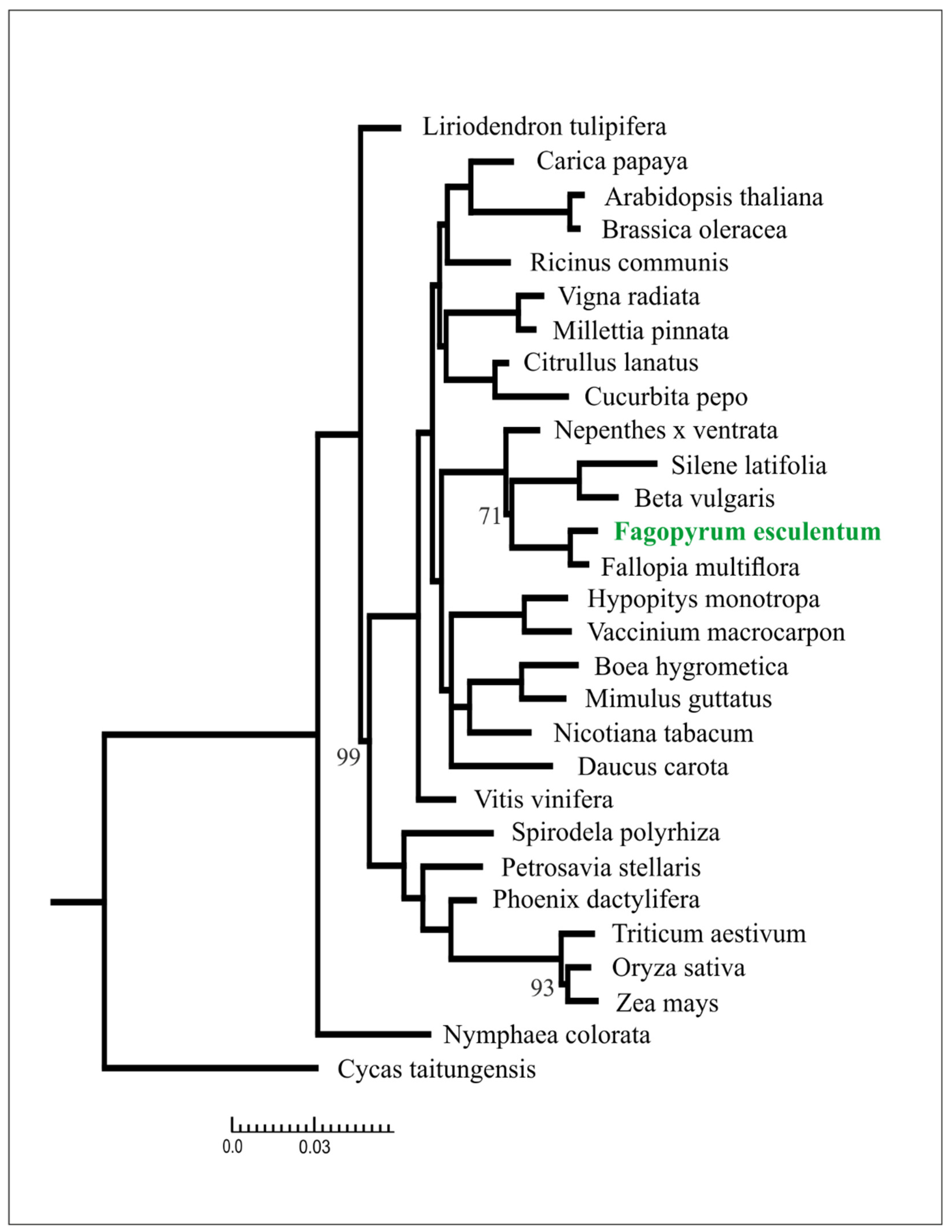 Plants 09 00618 g002 Plants 09 00618 g002