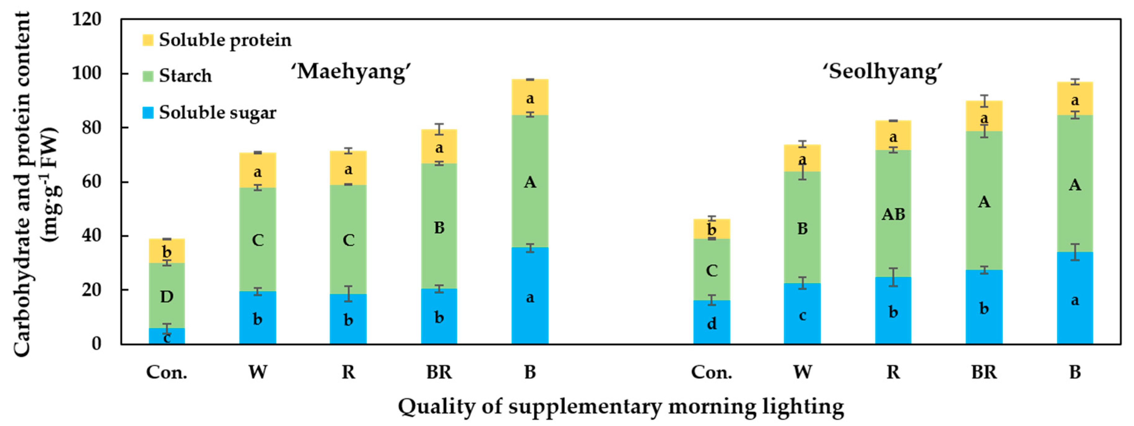 Plants | Free Full-Text | Quality of Supplementary Morning Lighting (SML)  During Propagation Period Affects Physiology, Stomatal Characteristics, and  Growth of Strawberry Plants | HTML