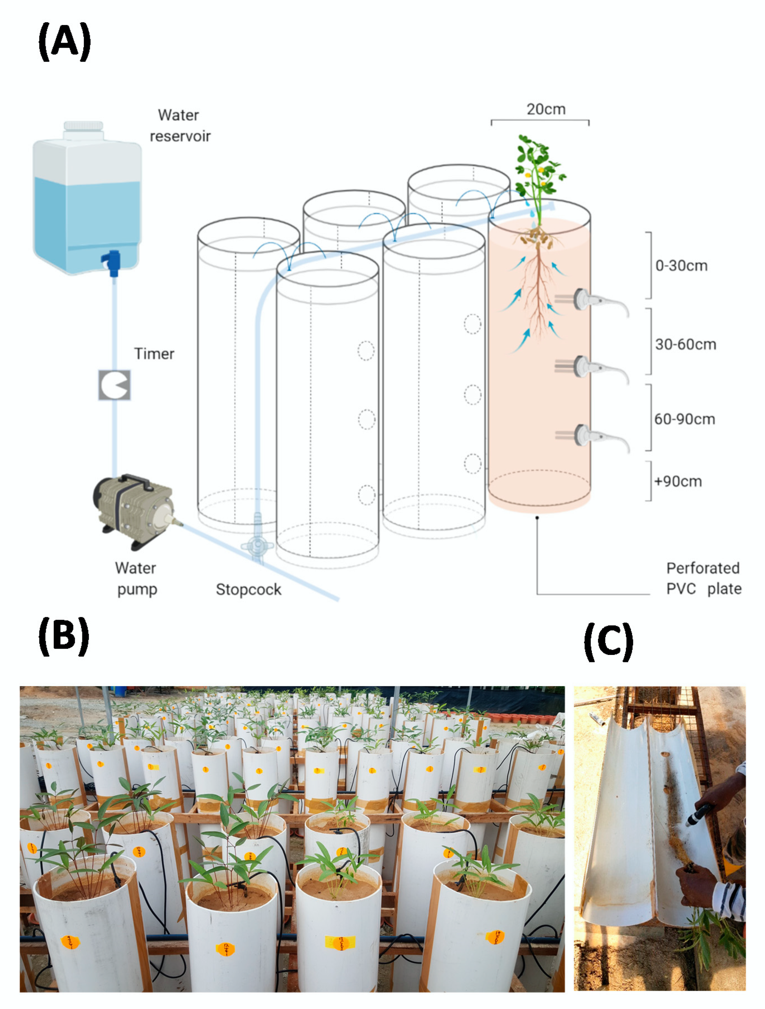 Plants 09 00645 g009