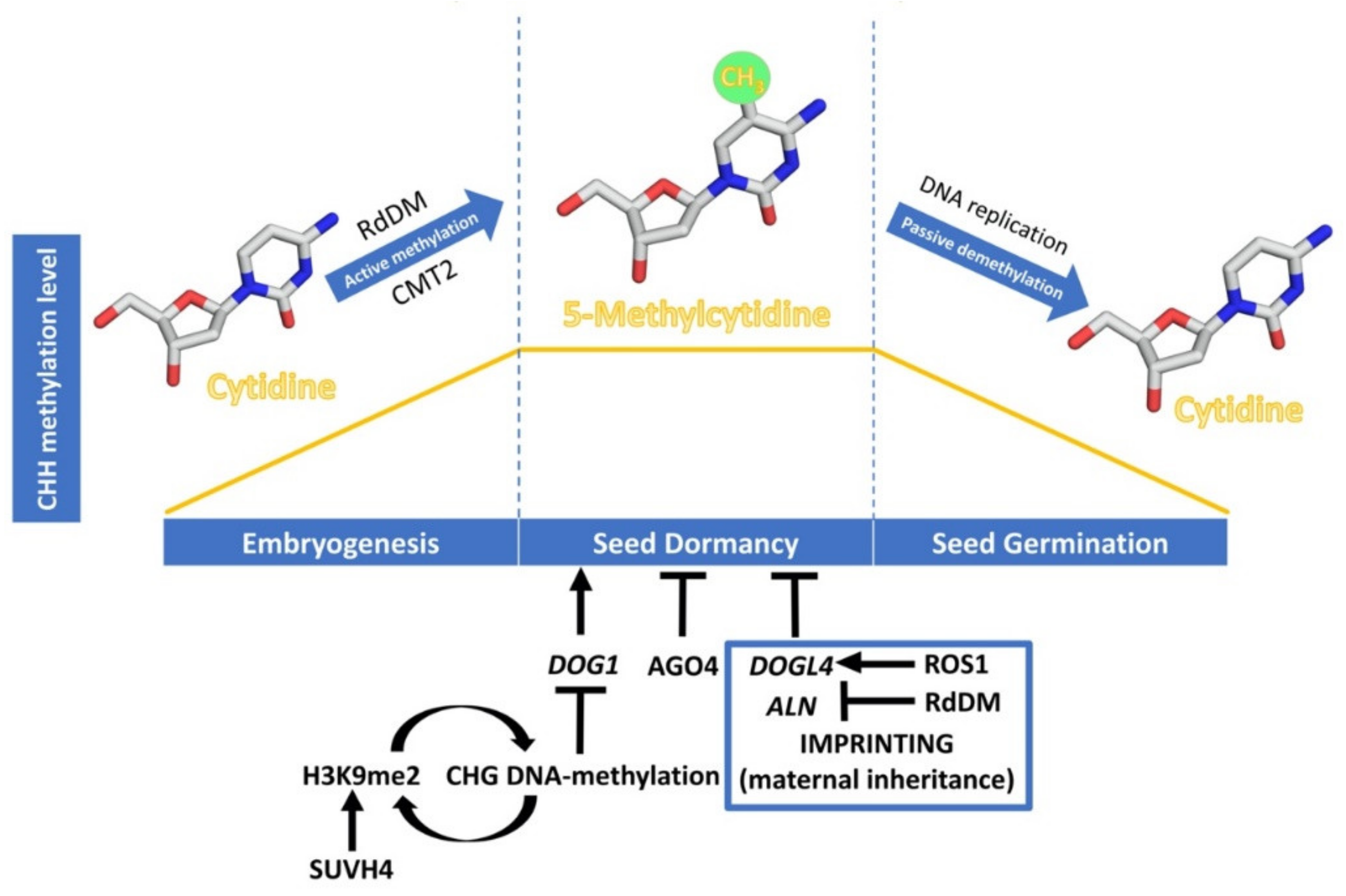 Plants 09 00679 g002 Plants 09 00679 g002