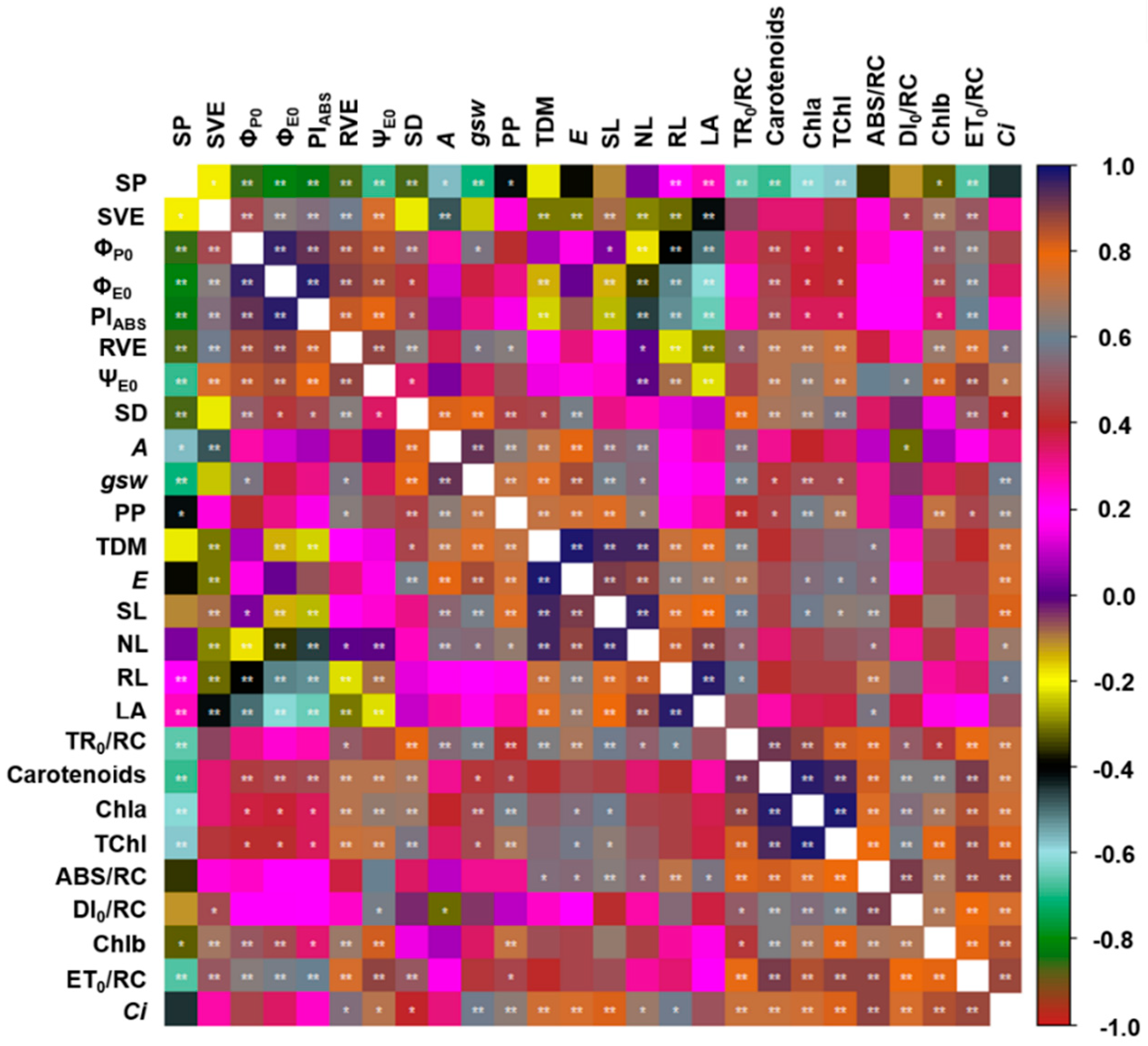 Plants Free Full Text Morpho Anatomical And Physiological Responses Can Predict The Ideal Period For The Transplantation Of Hydroponic Seedlings Of Hymenaea Courbaril A Neotropical Fruit Tree Html