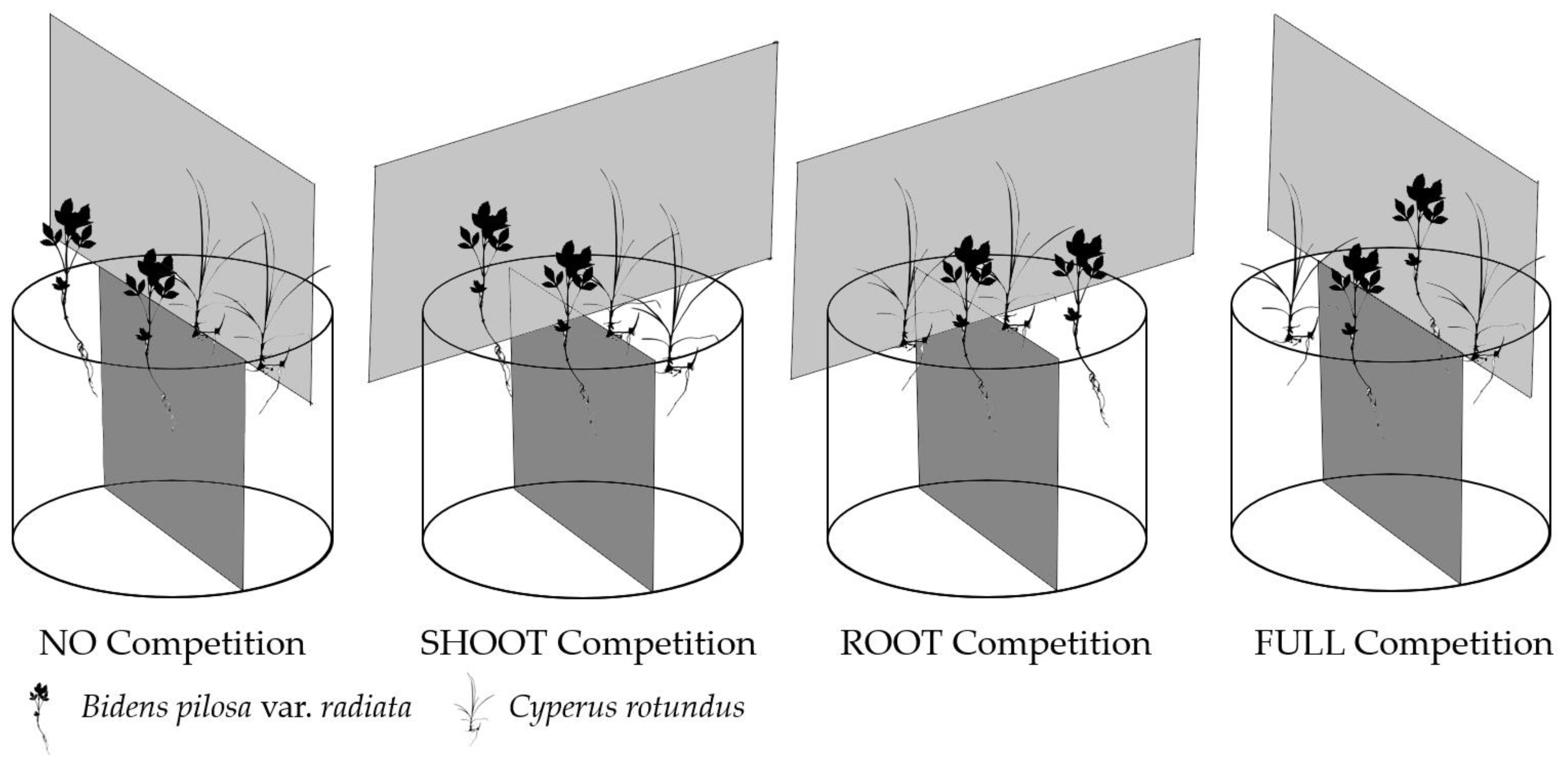 Plants 09 00742 g007 Plants 09 00742 g007