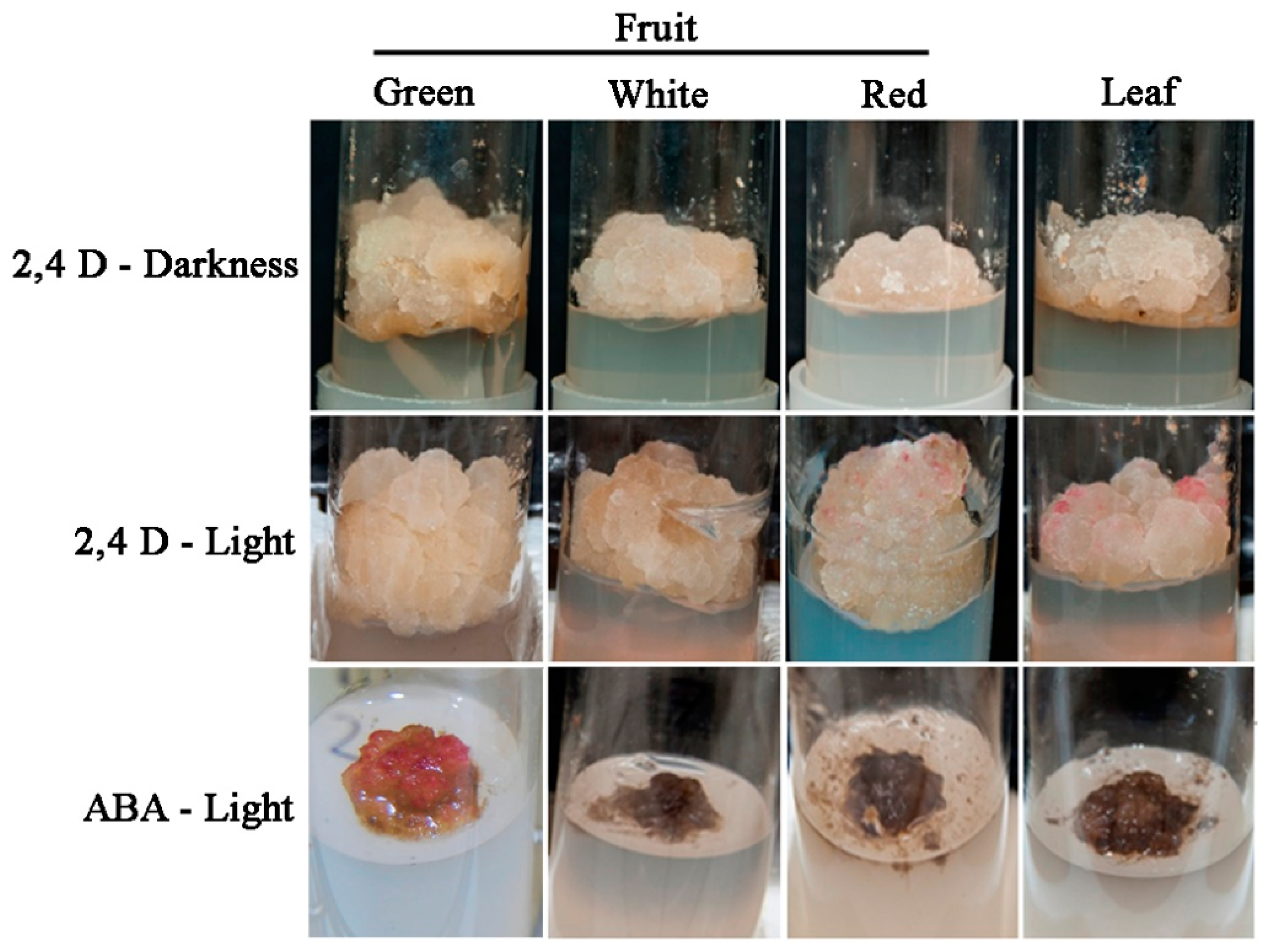 Plants 09 00805 g002 Plants 09 00805 g002