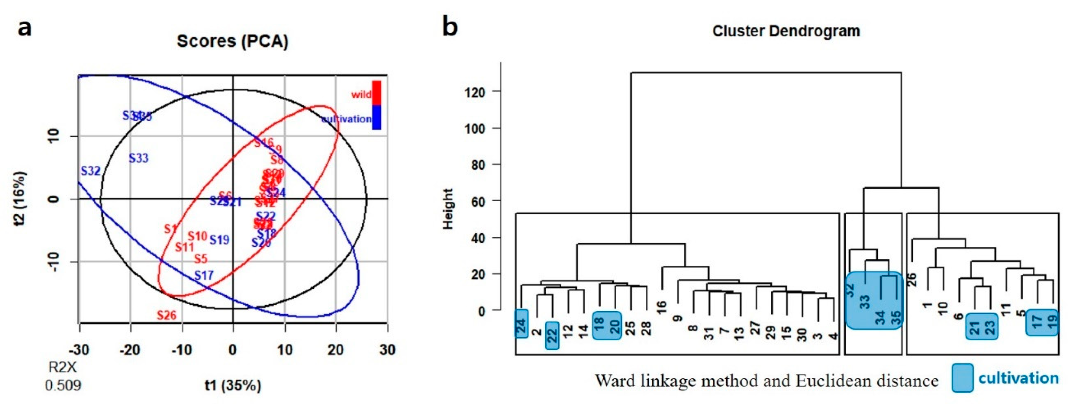 Plants 09 00860 g007 Plants 09 00860 g007