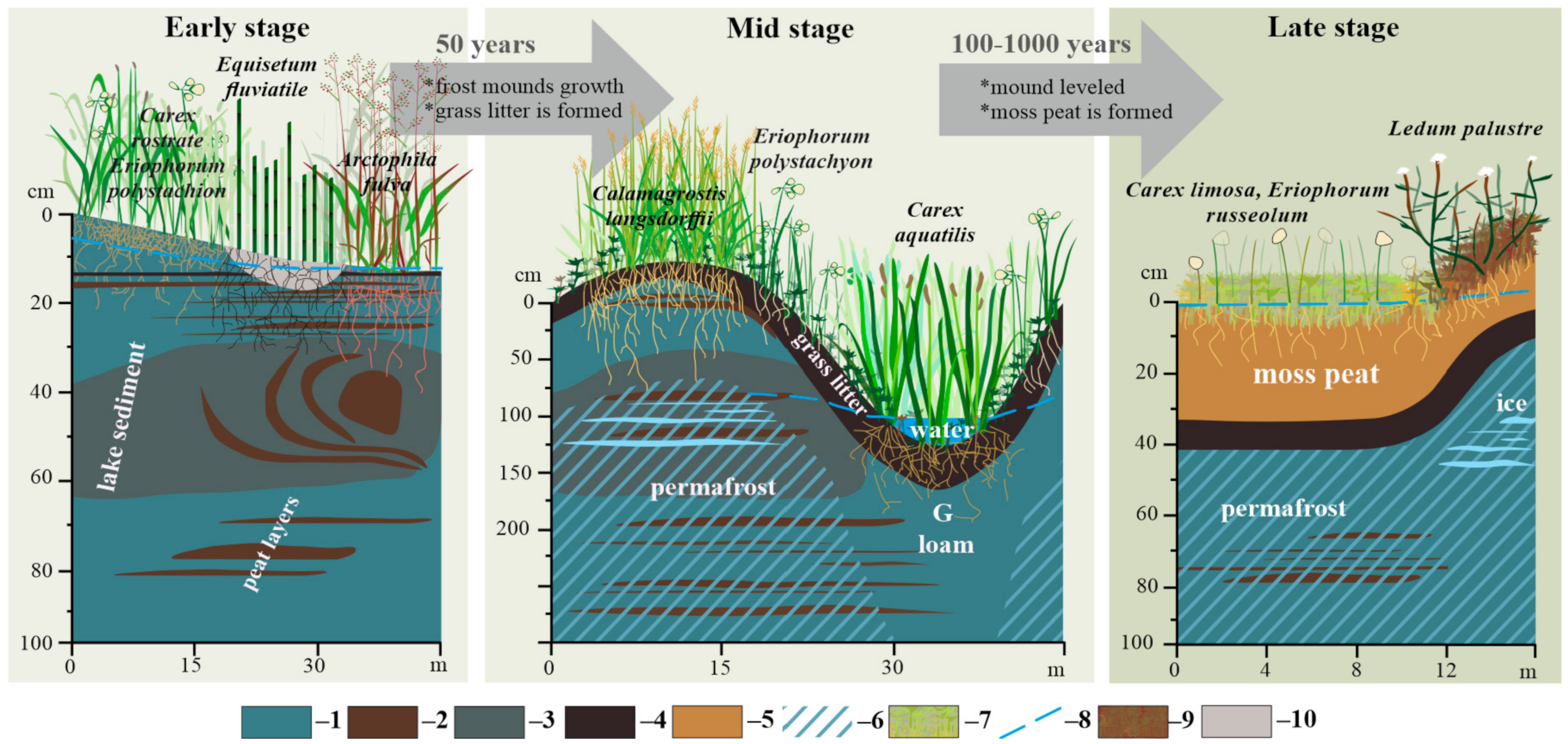 Plants 09 00867 g001